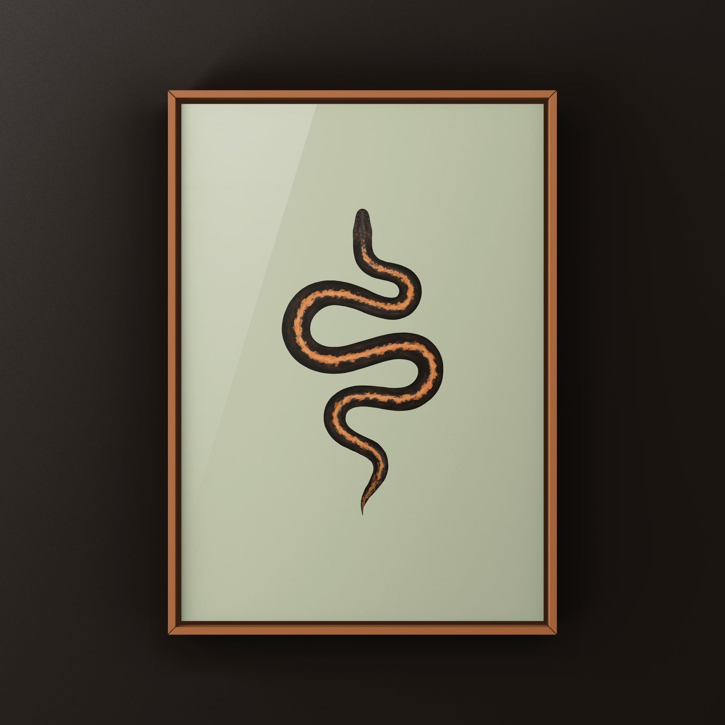 Stripe Kenyan Sand Boa Art Print (Gongylophis colubrinus)