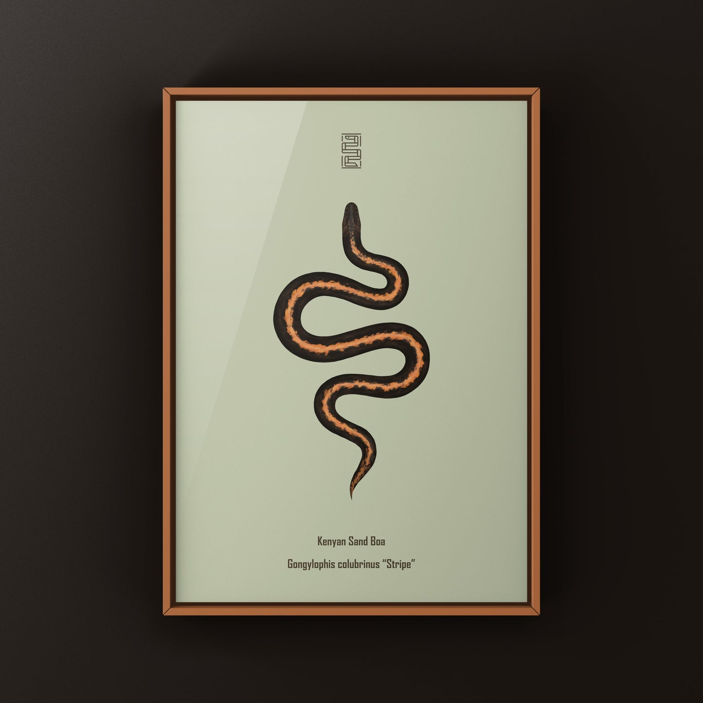Stripe Kenyan Sand Boa Art Print (Gongylophis colubrinus)