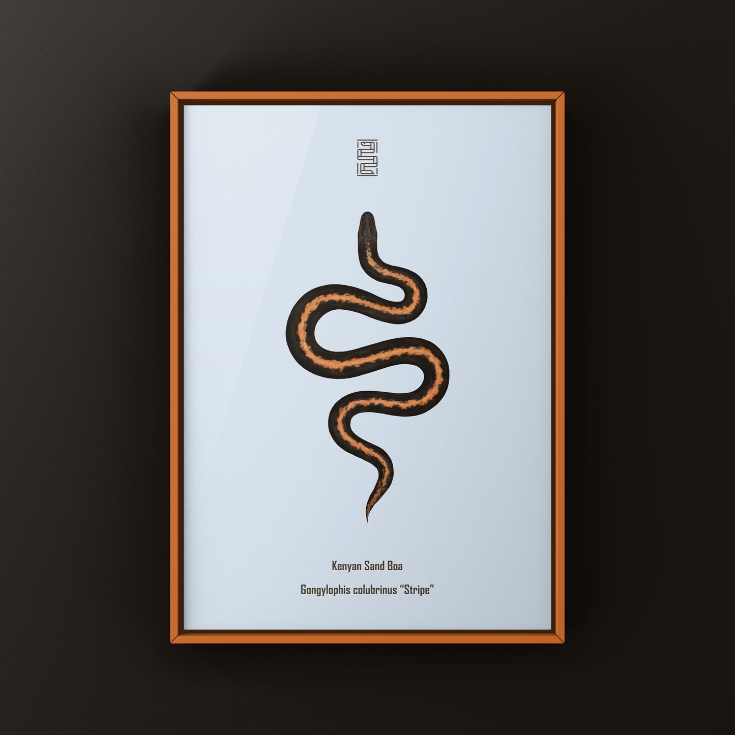 Stripe Kenyan Sand Boa Art Print (Gongylophis colubrinus)
