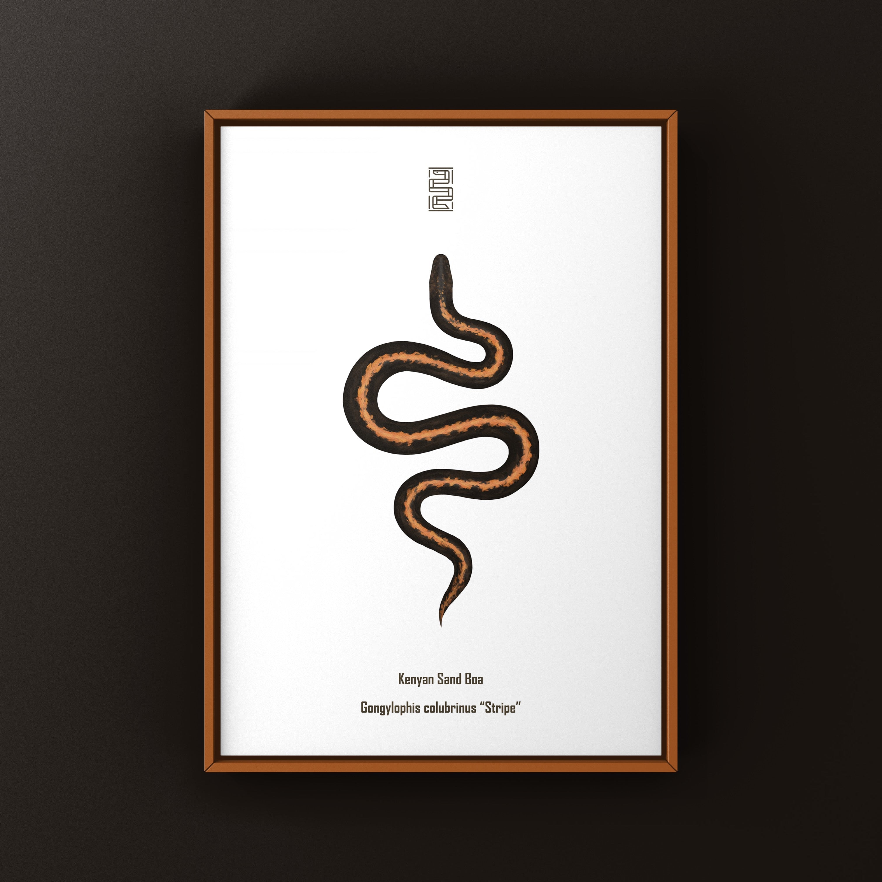 Explore the Latest New Releases | The Silk Ranch / The Morph Archive