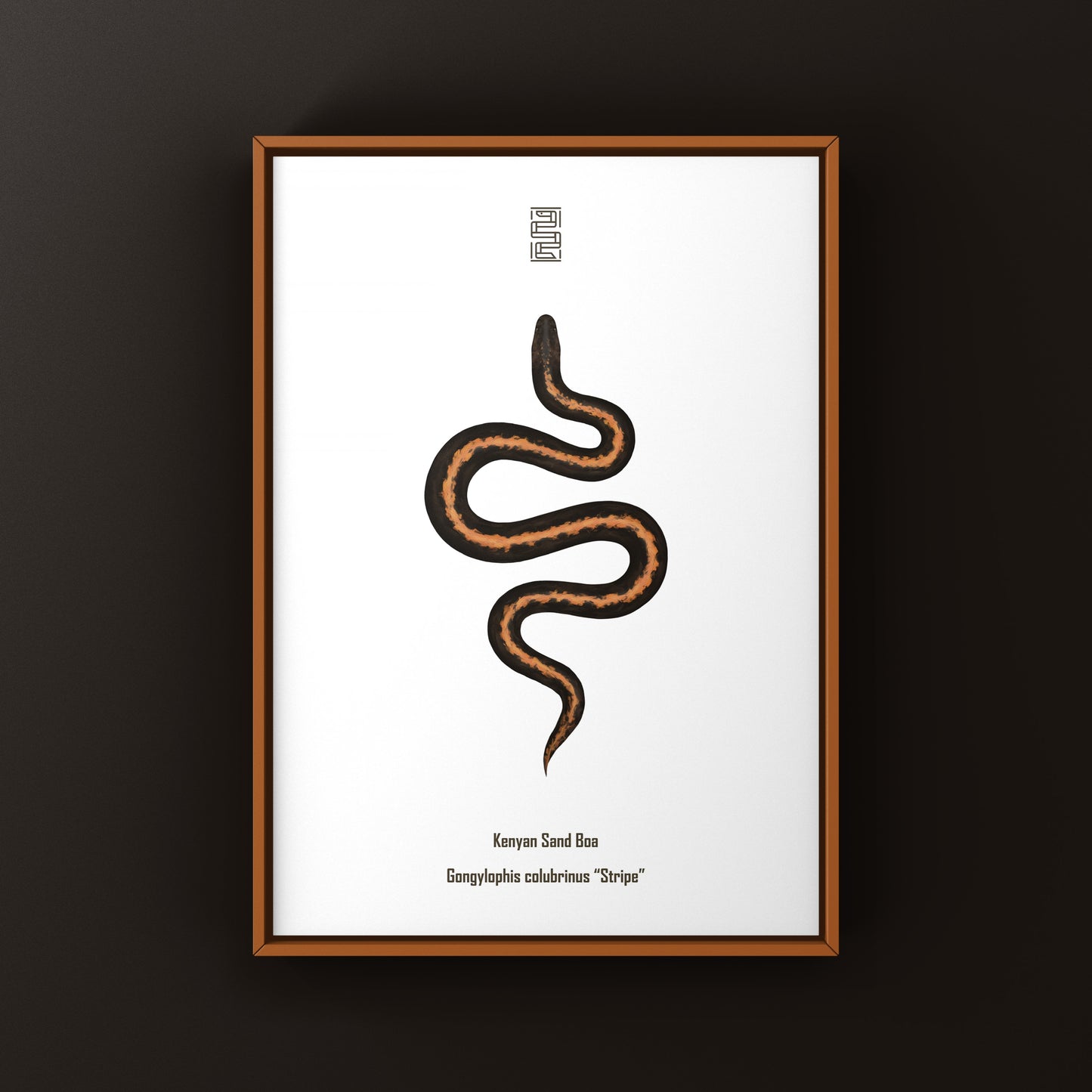 Stripe Kenyan Sand Boa Art Print (Gongylophis colubrinus)