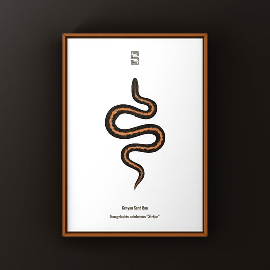 Stripe Kenyan Sand Boa Art Print (Gongylophis colubrinus) from The Silk Ranch