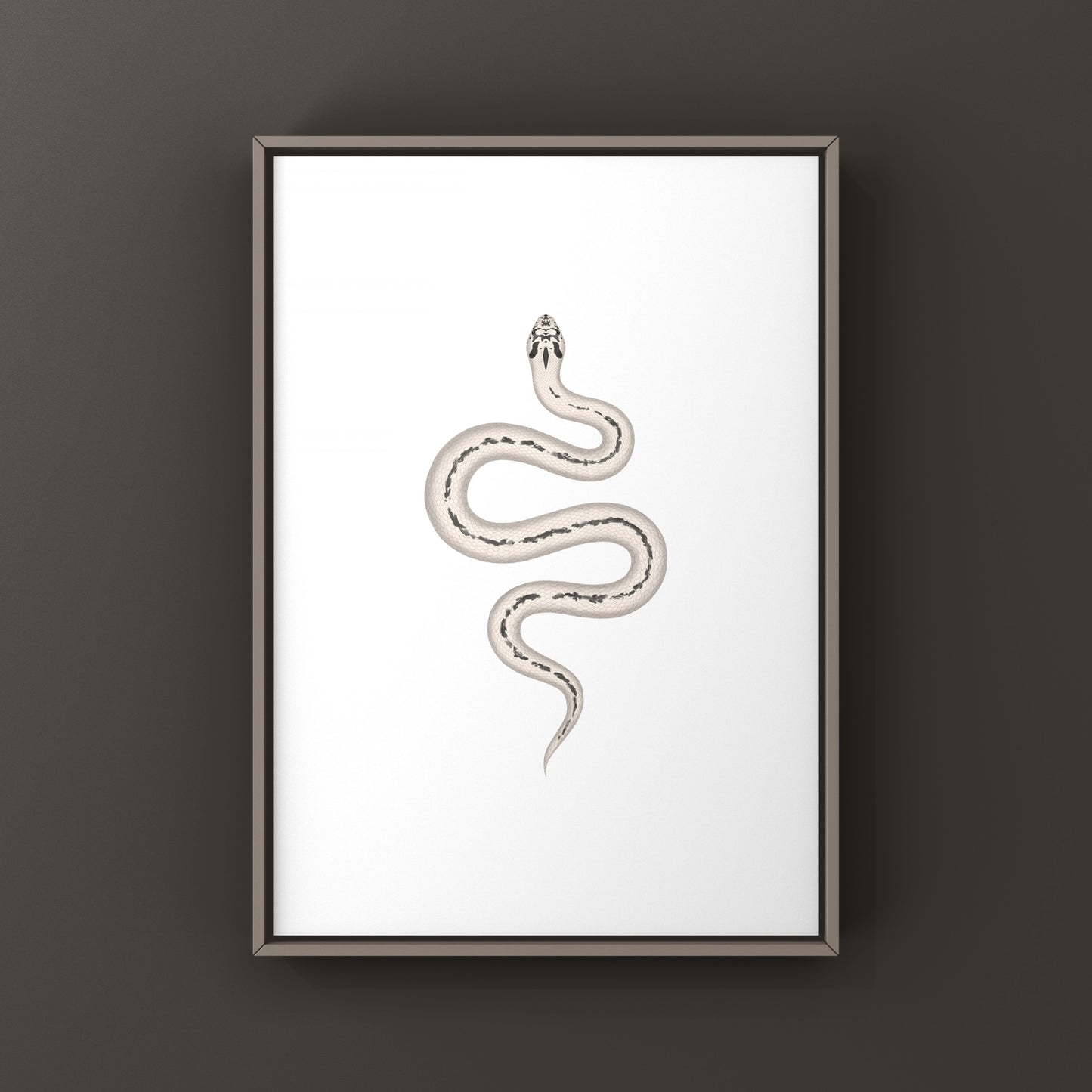 Super Arctic Super Anaconda Western Hognose Snake Art Print (Heterodon nasicus)