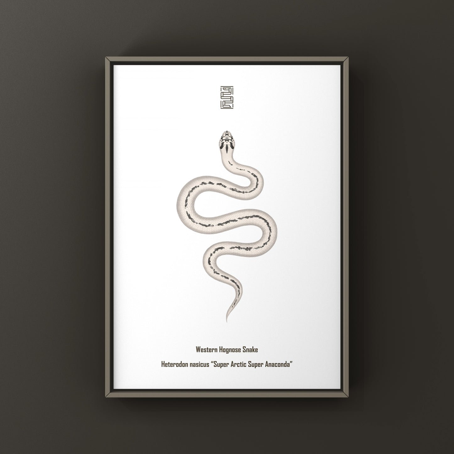 Super Arctic Super Anaconda Western Hognose Snake Art Print (Heterodon nasicus)