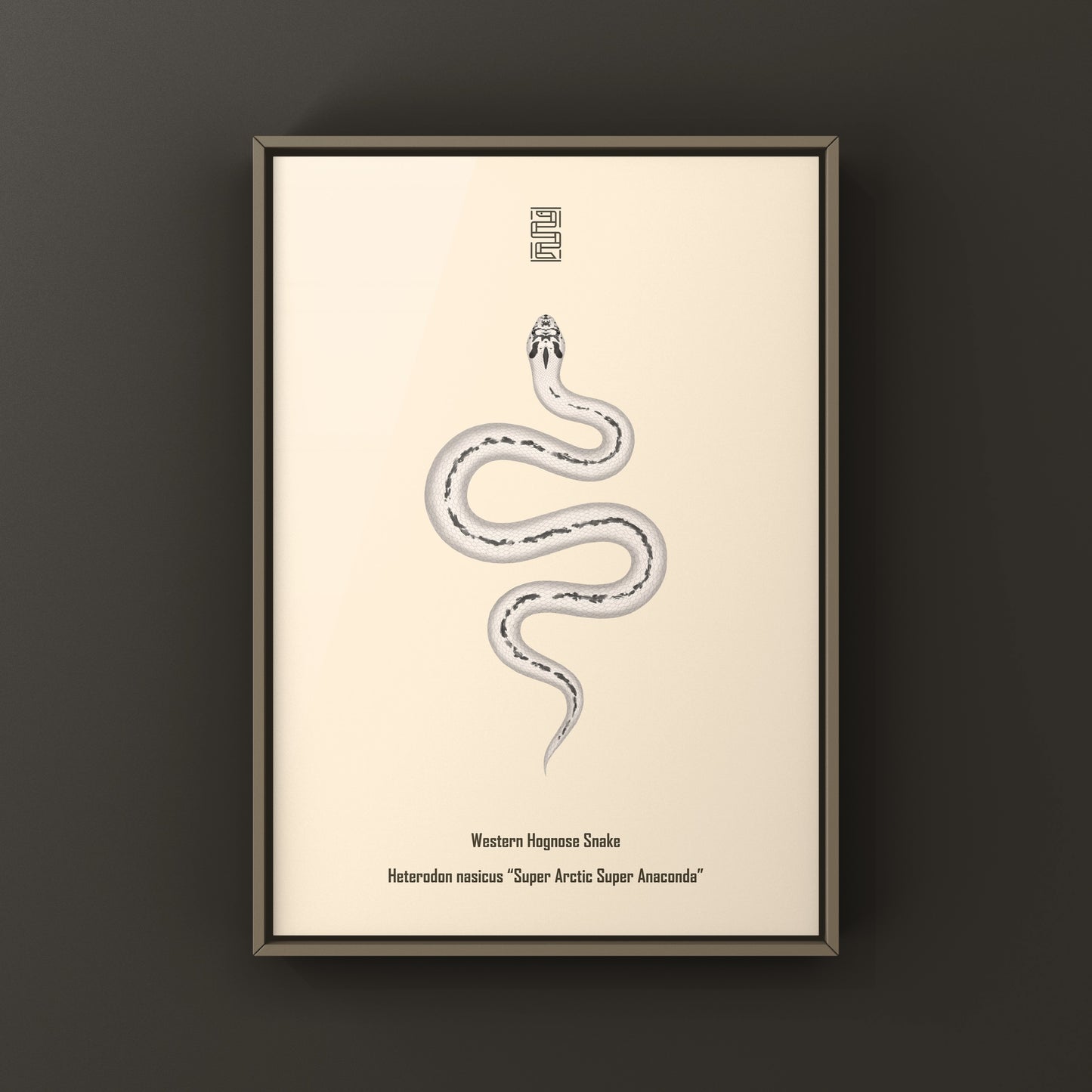 Super Arctic Super Anaconda Western Hognose Snake Art Print (Heterodon nasicus)