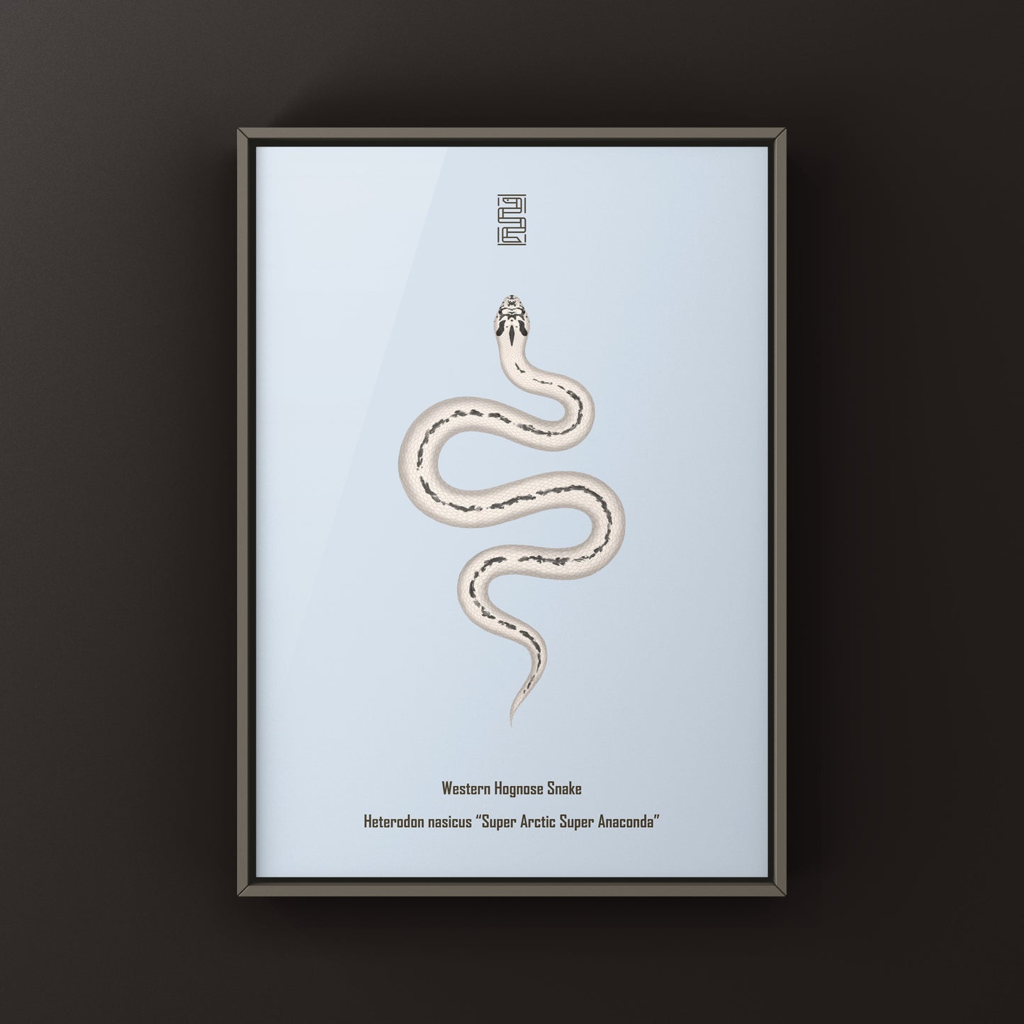 Super Arctic Super Anaconda Western Hognose Snake Art Print (Heterodon nasicus)