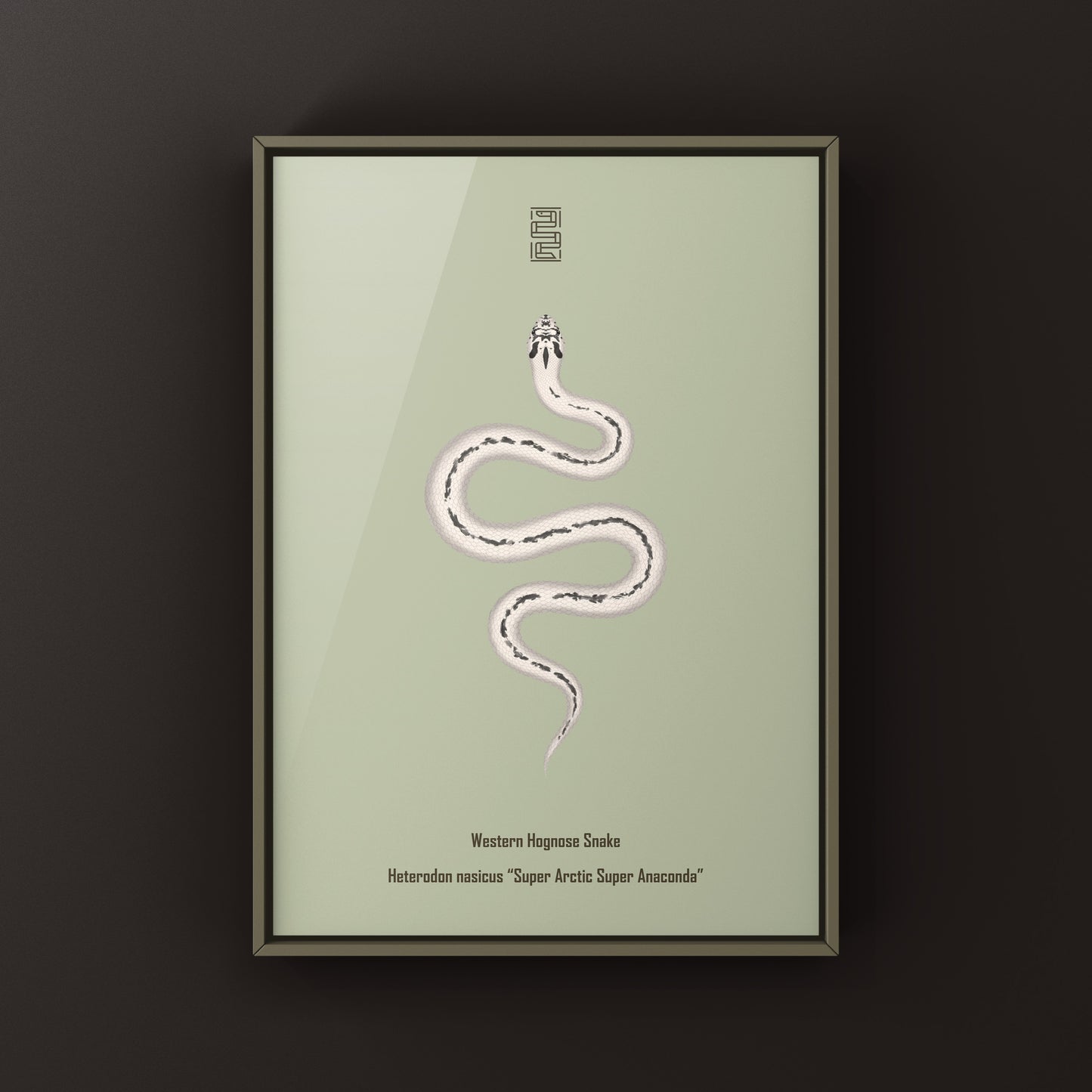 Super Arctic Super Anaconda Western Hognose Snake Art Print (Heterodon nasicus)