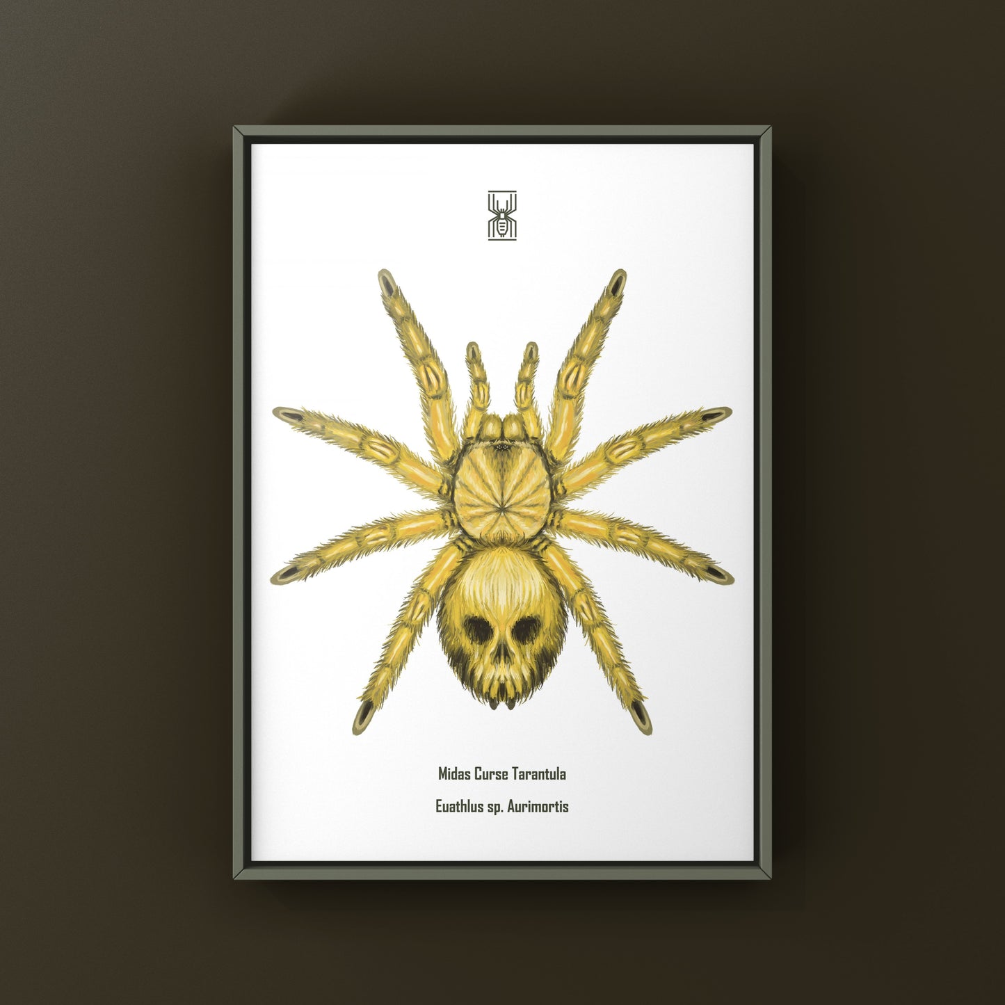 Midas Curse Tarantula Art Print (Euathlus sp. Aurimortis)