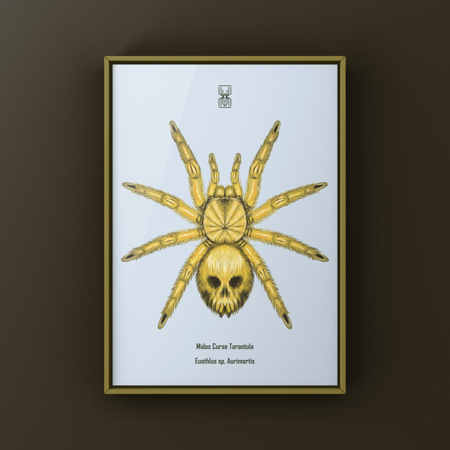 Midas Curse Tarantula Art Print (Euathlus sp. Aurimortis)