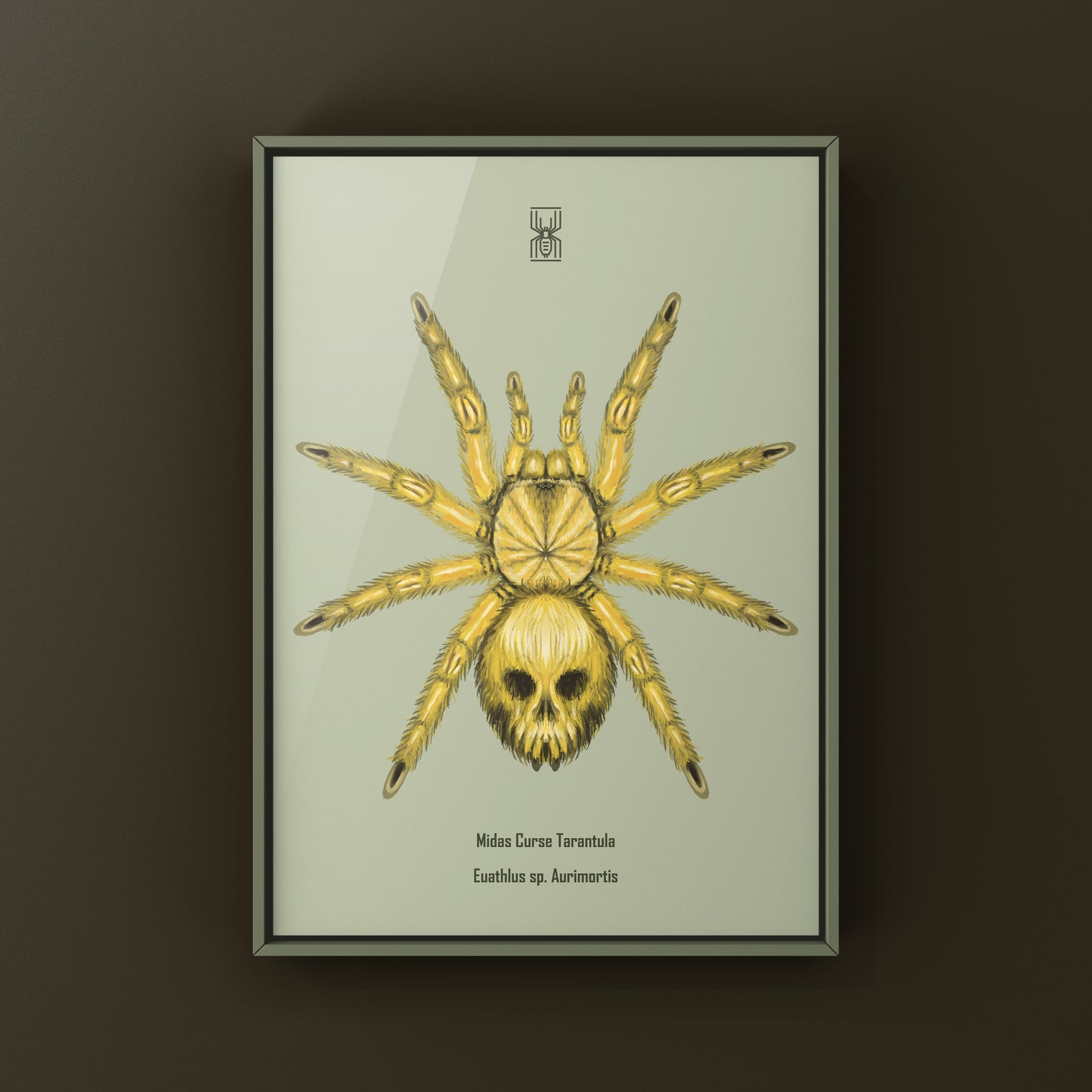 Midas Curse Tarantula Art Print (Euathlus sp. Aurimortis)