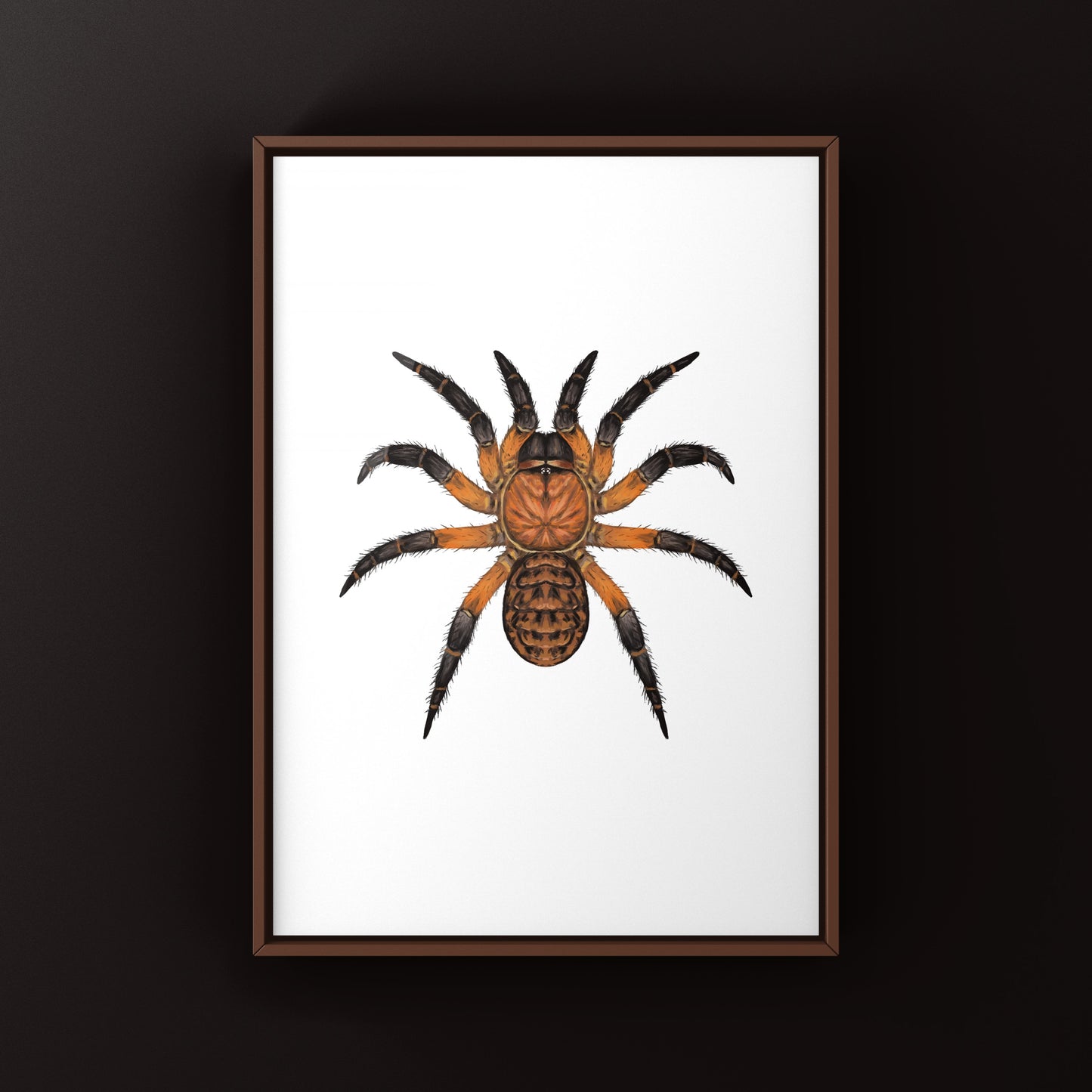Ornate Armored Trapdoor Spider Art Print (Liphistius ornatus)