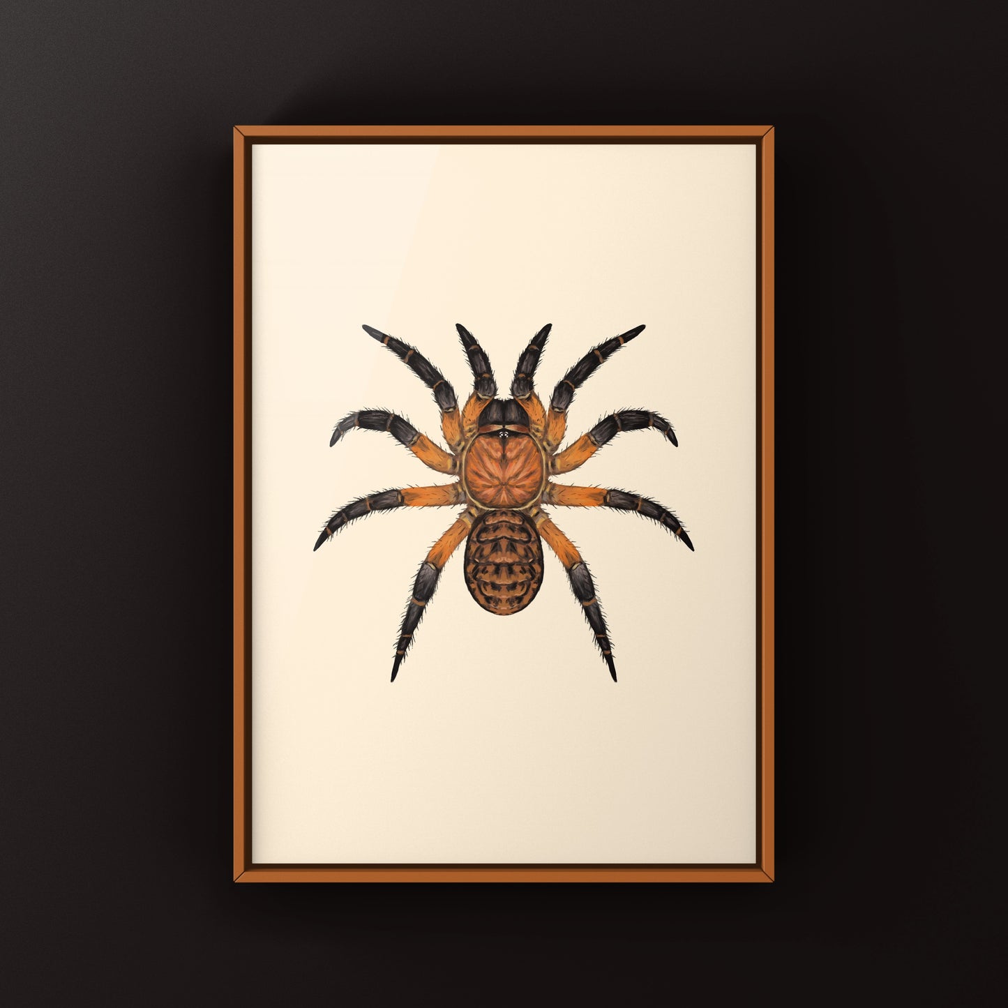 Ornate Armored Trapdoor Spider Art Print (Liphistius ornatus)
