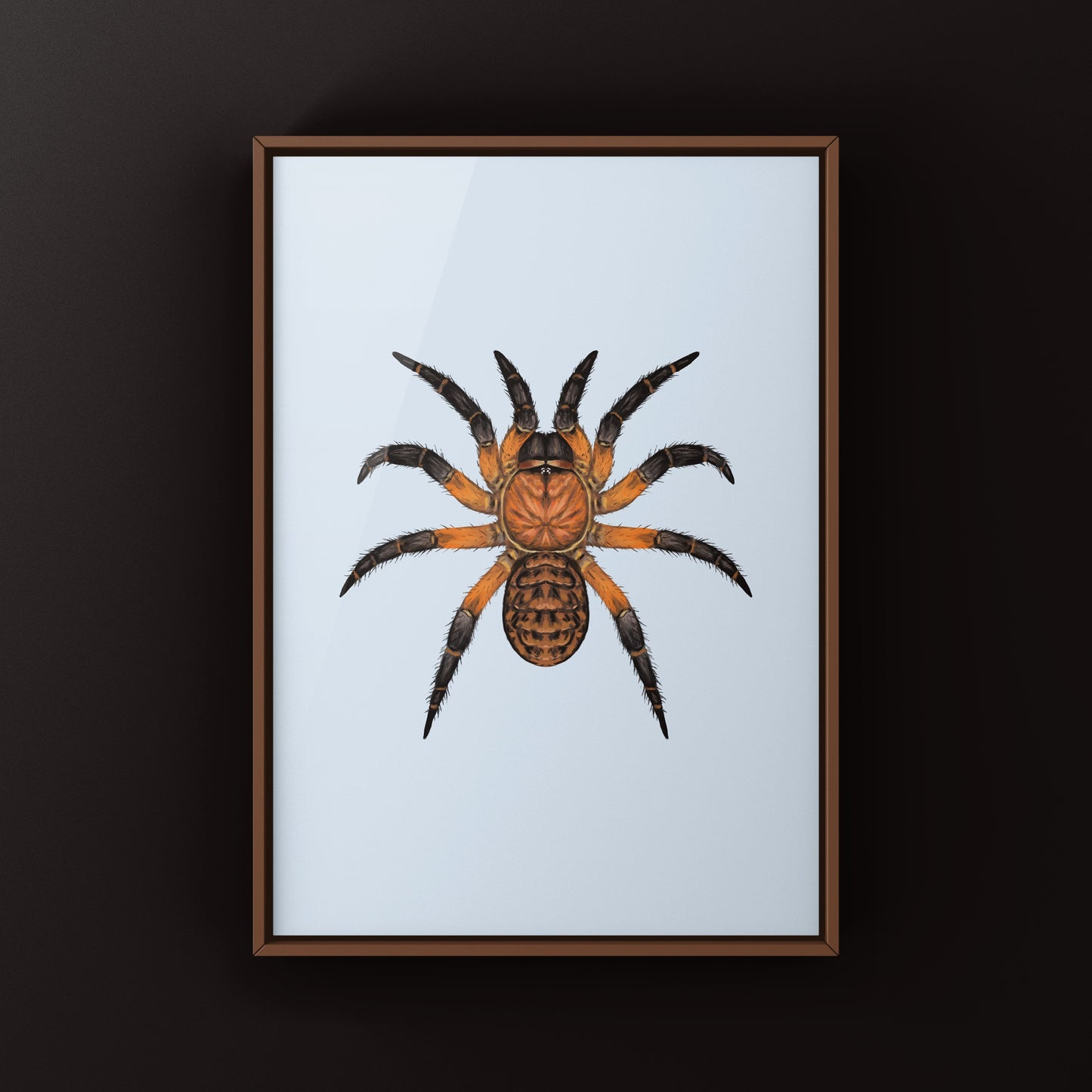 Ornate Armored Trapdoor Spider Art Print (Liphistius ornatus)