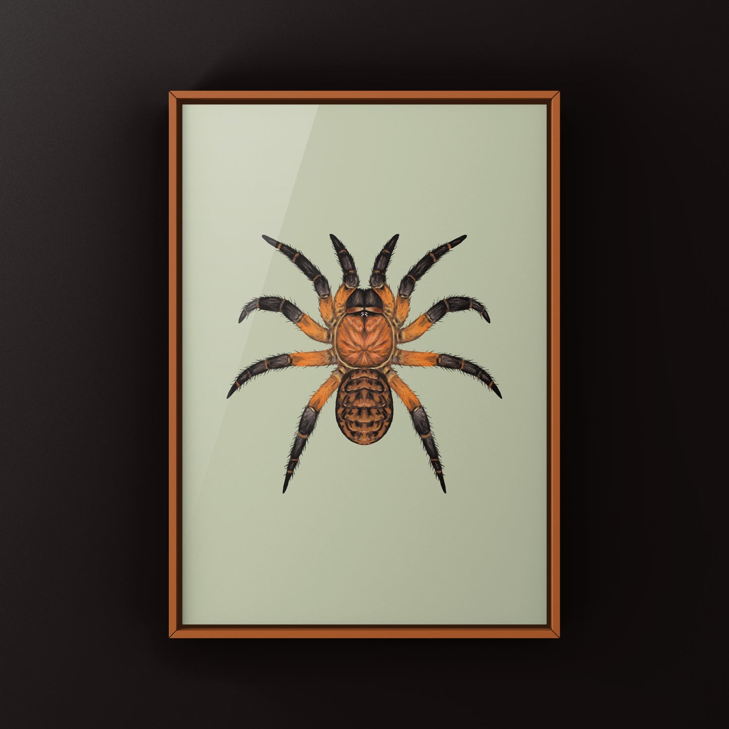Ornate Armored Trapdoor Spider Art Print (Liphistius ornatus)