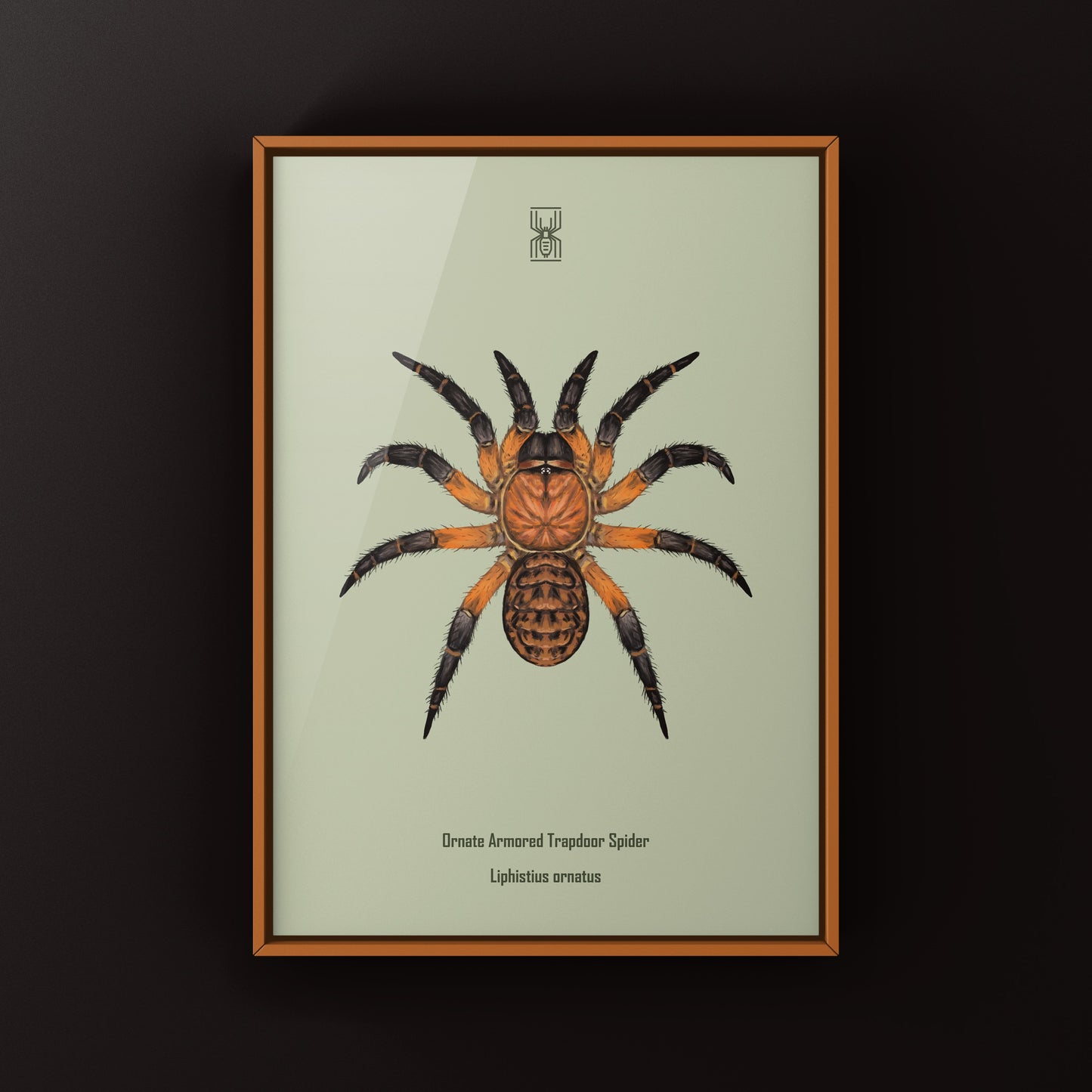 Ornate Armored Trapdoor Spider Art Print (Liphistius ornatus)