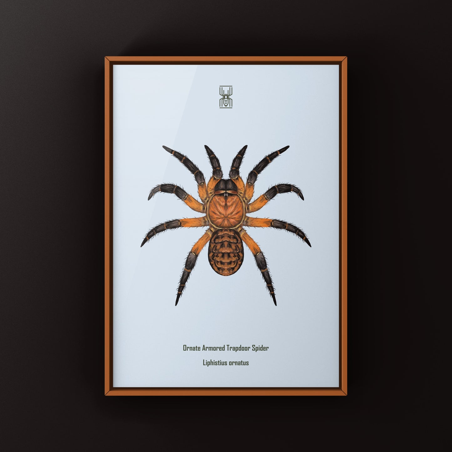 Ornate Armored Trapdoor Spider Art Print (Liphistius ornatus)