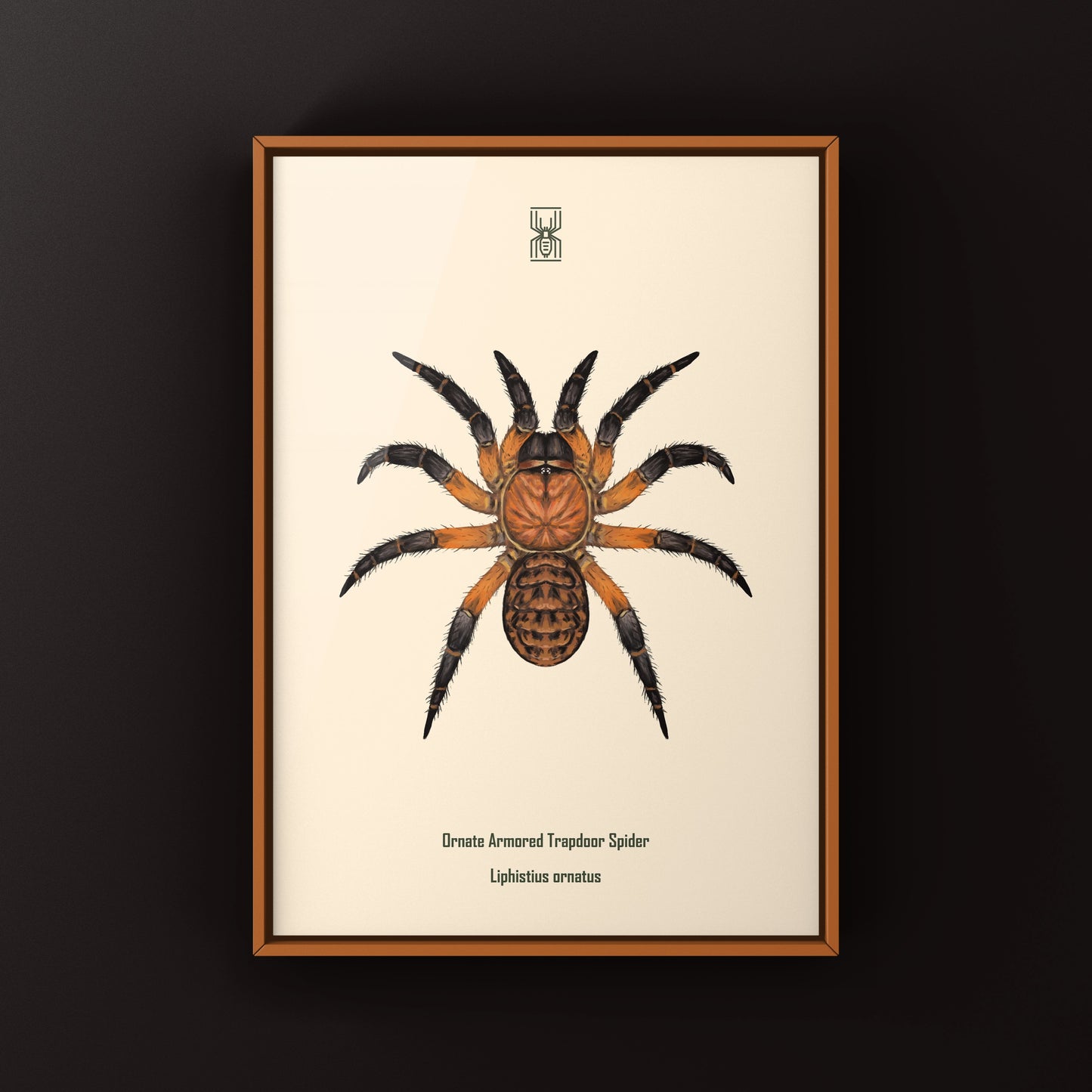 Ornate Armored Trapdoor Spider Art Print (Liphistius ornatus)