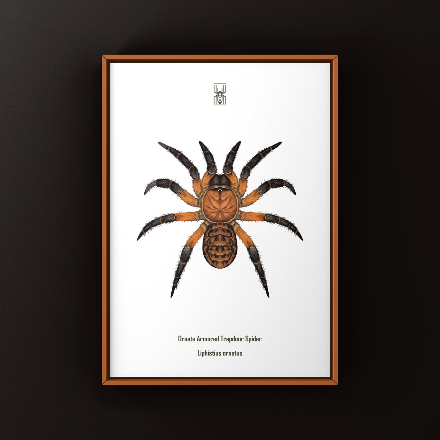 Ornate Armored Trapdoor Spider Art Print (Liphistius ornatus)