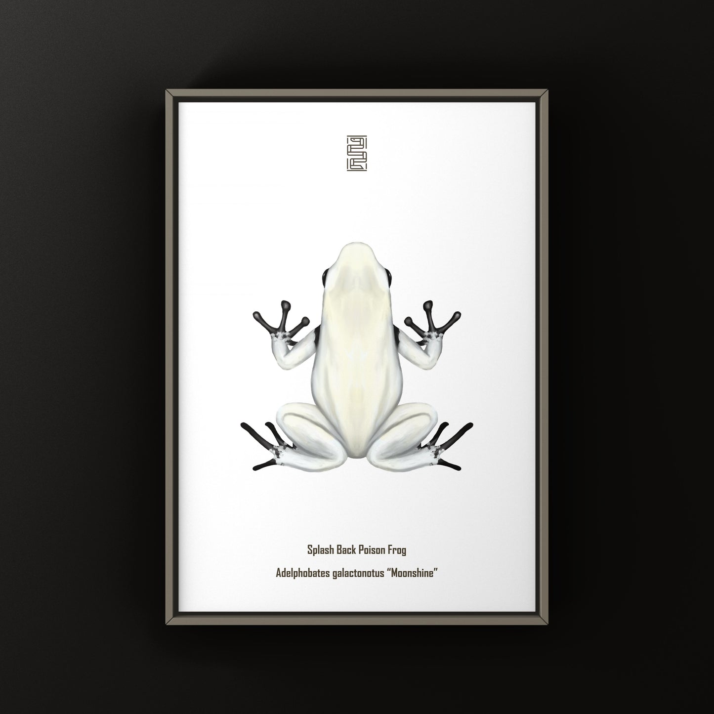 Moonshine Splash Back Poison Frog Art Print (Adelphobates galactonotus)