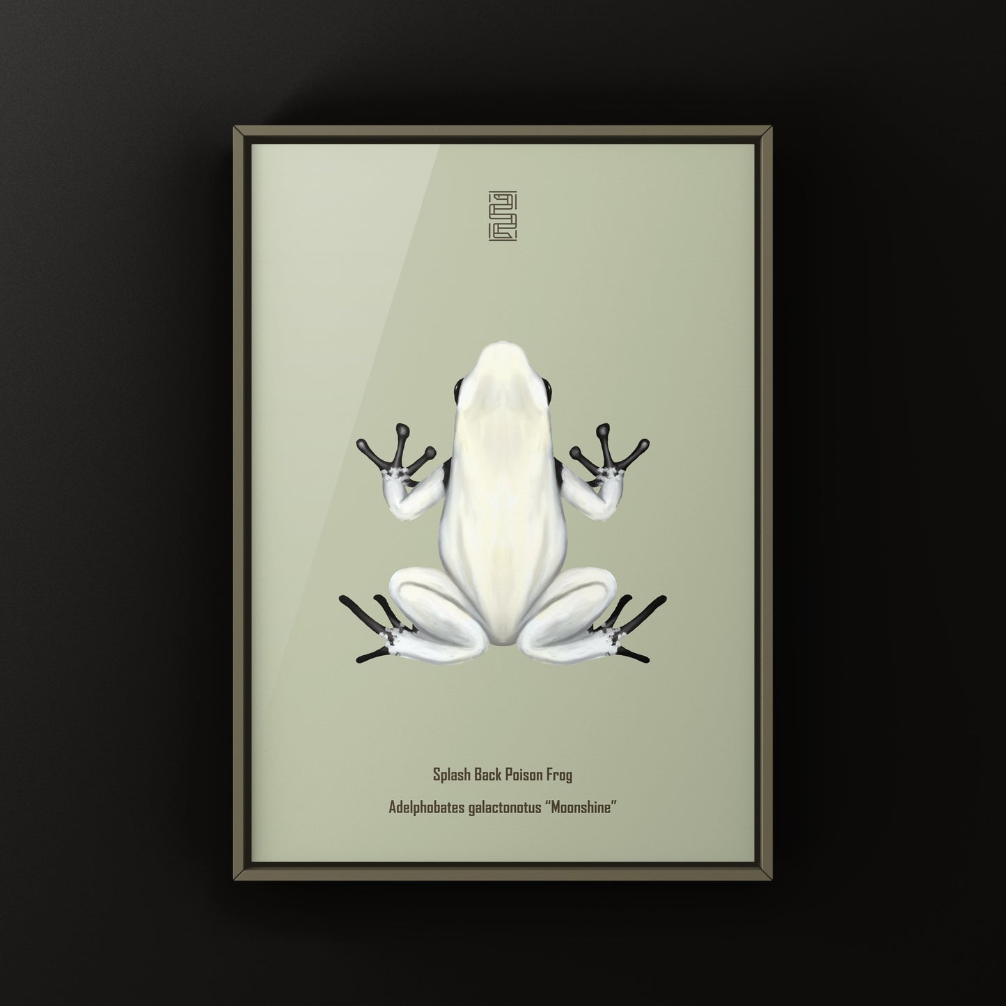 Moonshine Splash Back Poison Frog Art Print (Adelphobates galactonotus)