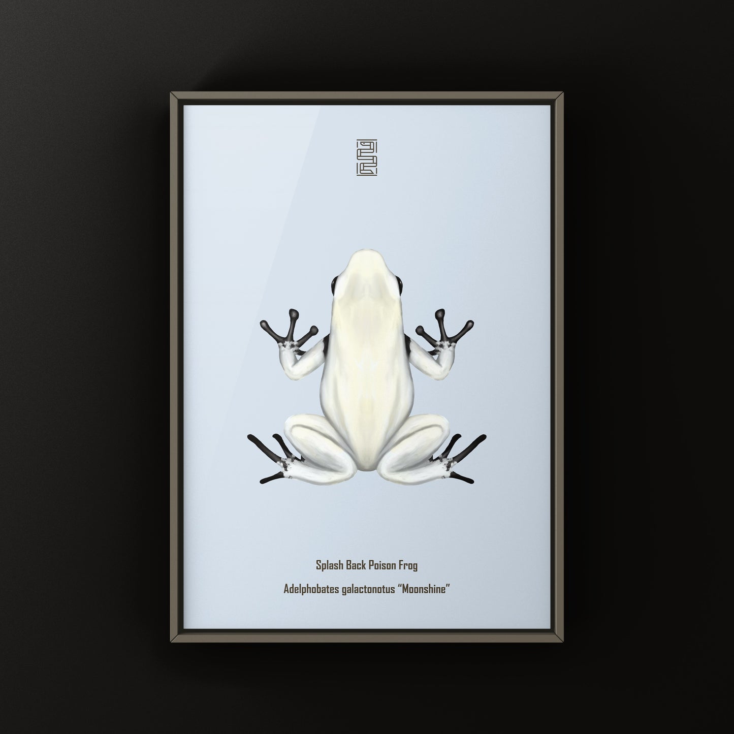 Moonshine Splash Back Poison Frog Art Print (Adelphobates galactonotus)