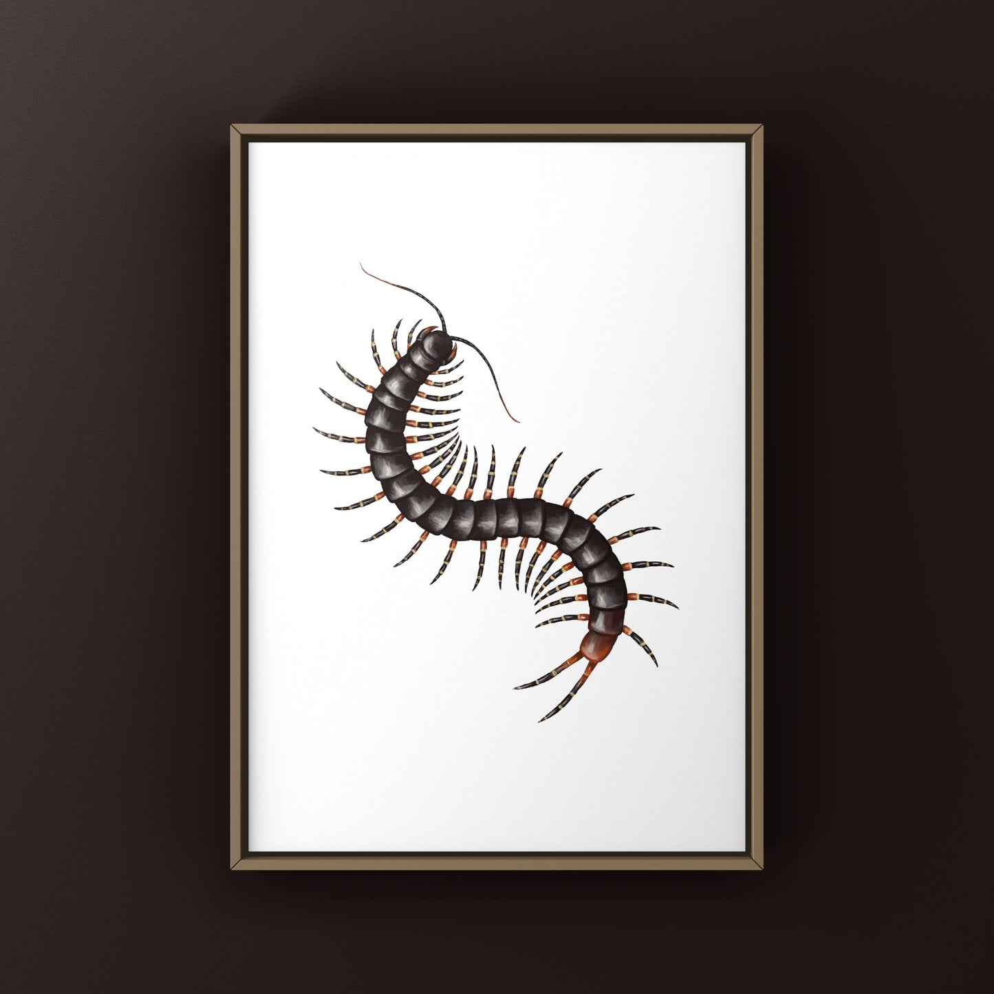 Amazonian Giant Centipede Art Print (Scolopendra gigantea)