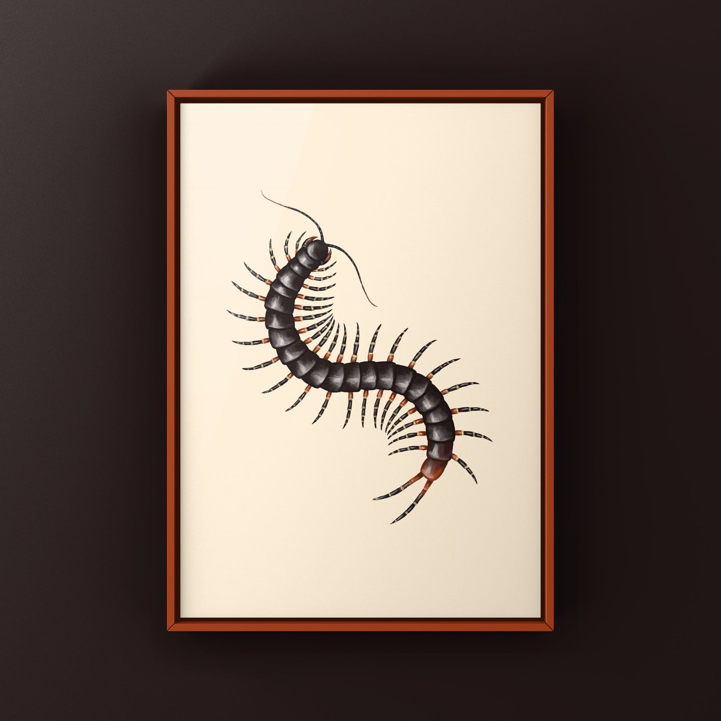 Amazonian Giant Centipede Art Print (Scolopendra gigantea)