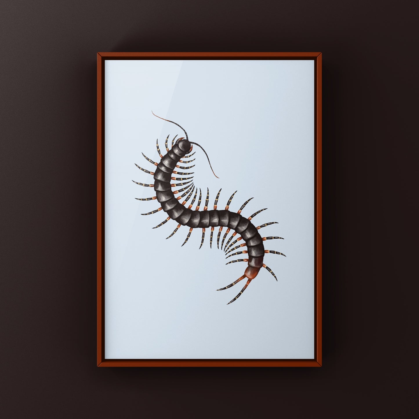 Amazonian Giant Centipede Art Print (Scolopendra gigantea)