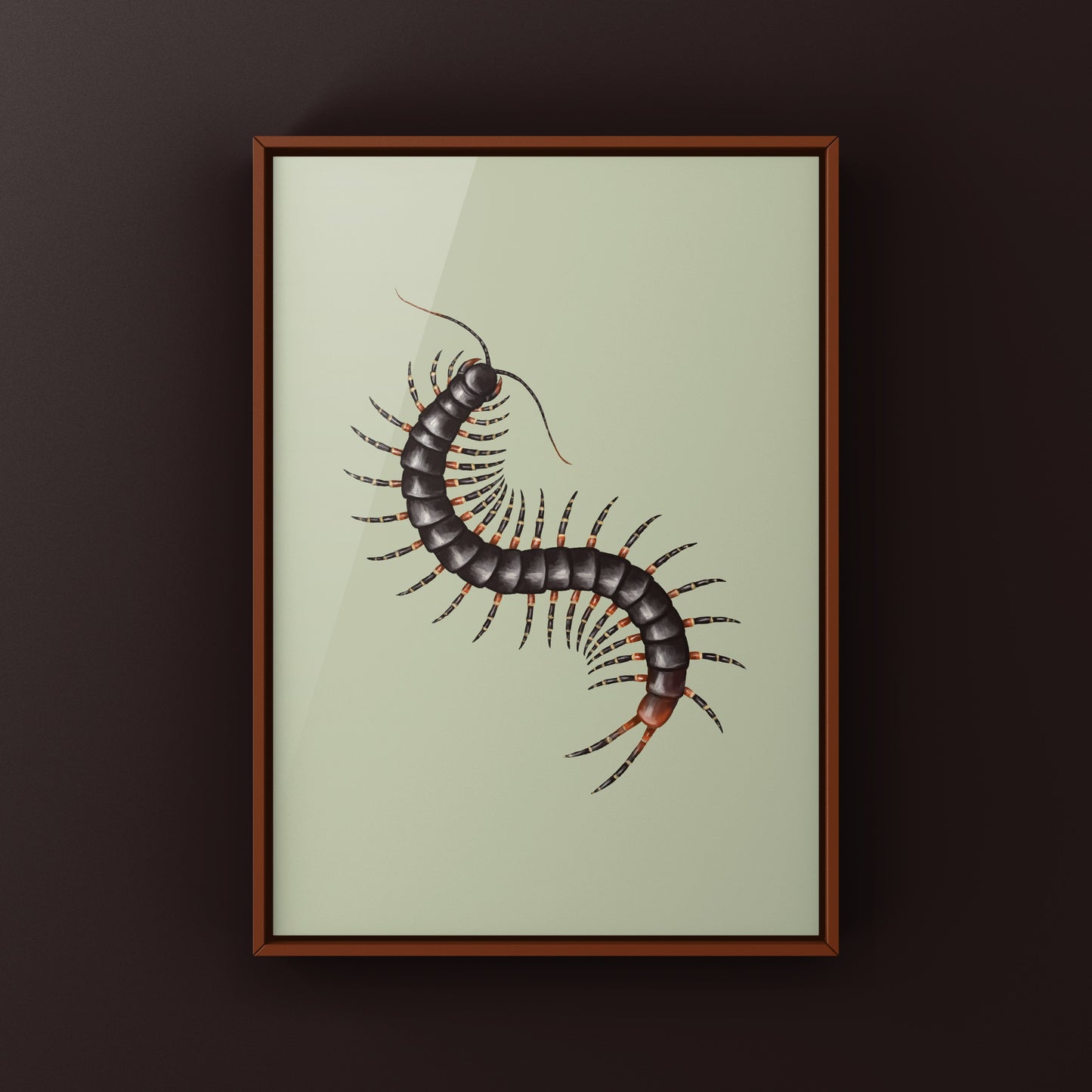 Amazonian Giant Centipede Art Print (Scolopendra gigantea)