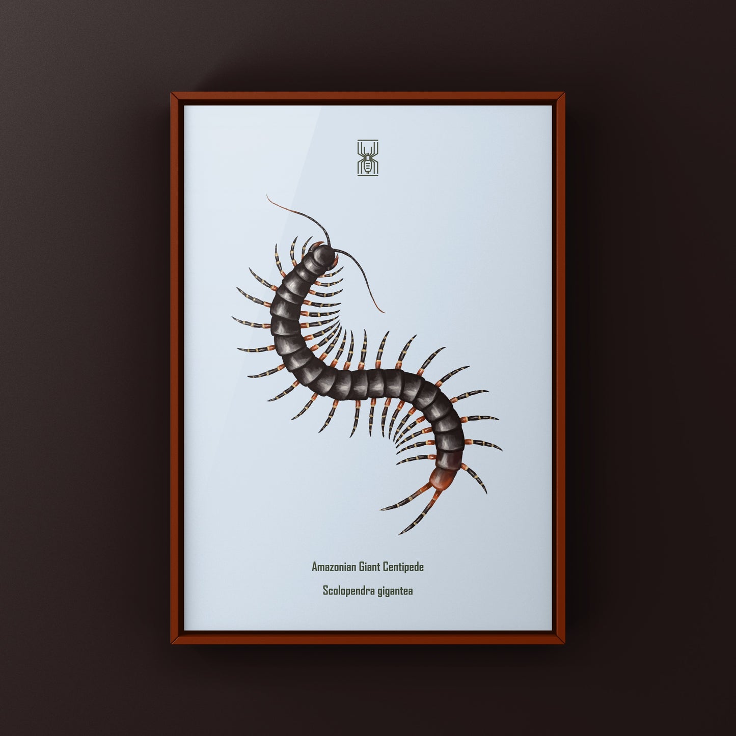 Amazonian Giant Centipede Art Print (Scolopendra gigantea)