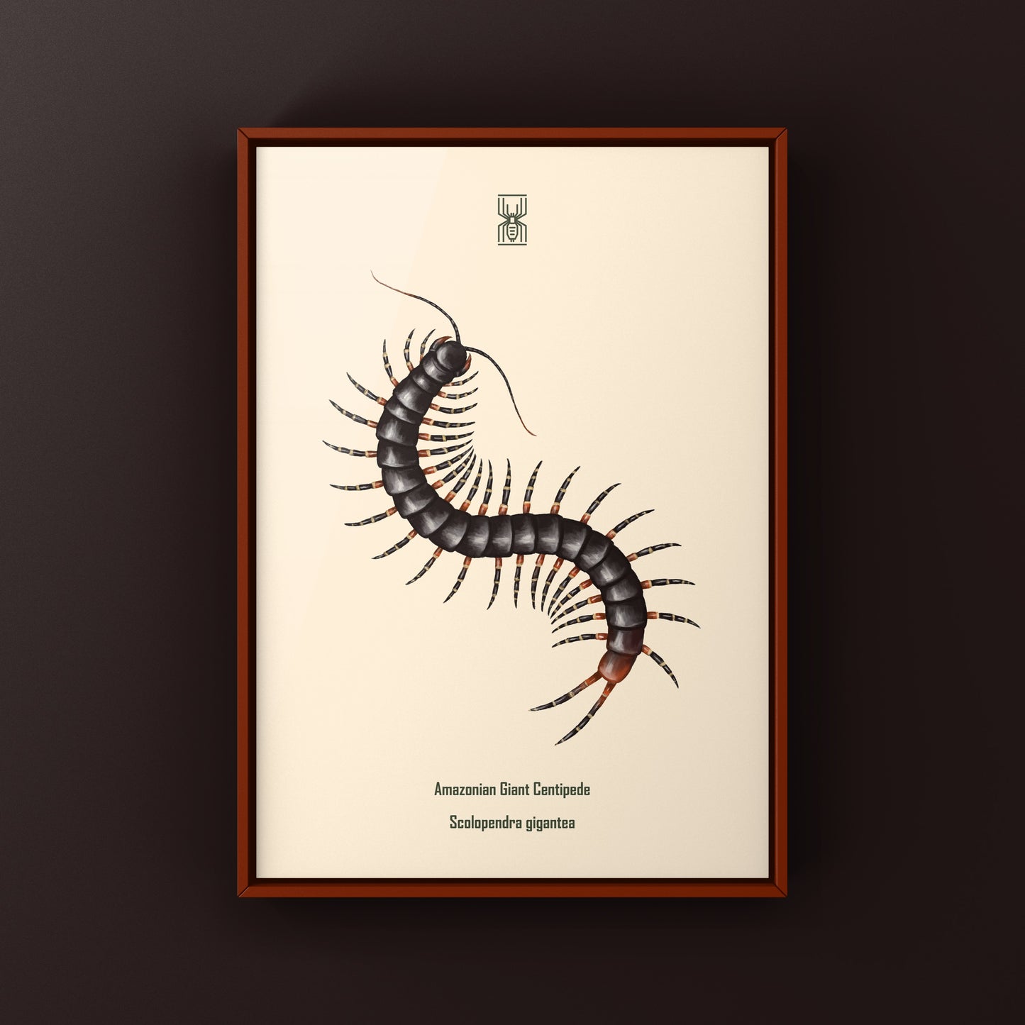 Amazonian Giant Centipede Art Print (Scolopendra gigantea)