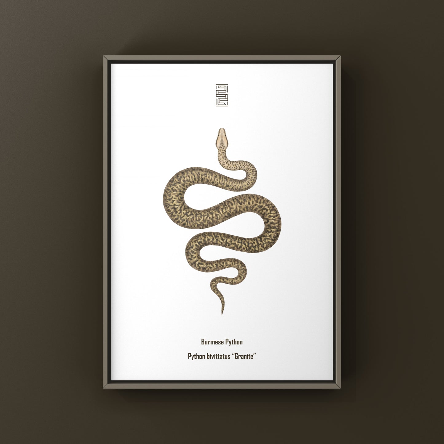 Granite Burmese Python Art Print (Python bivittatus)