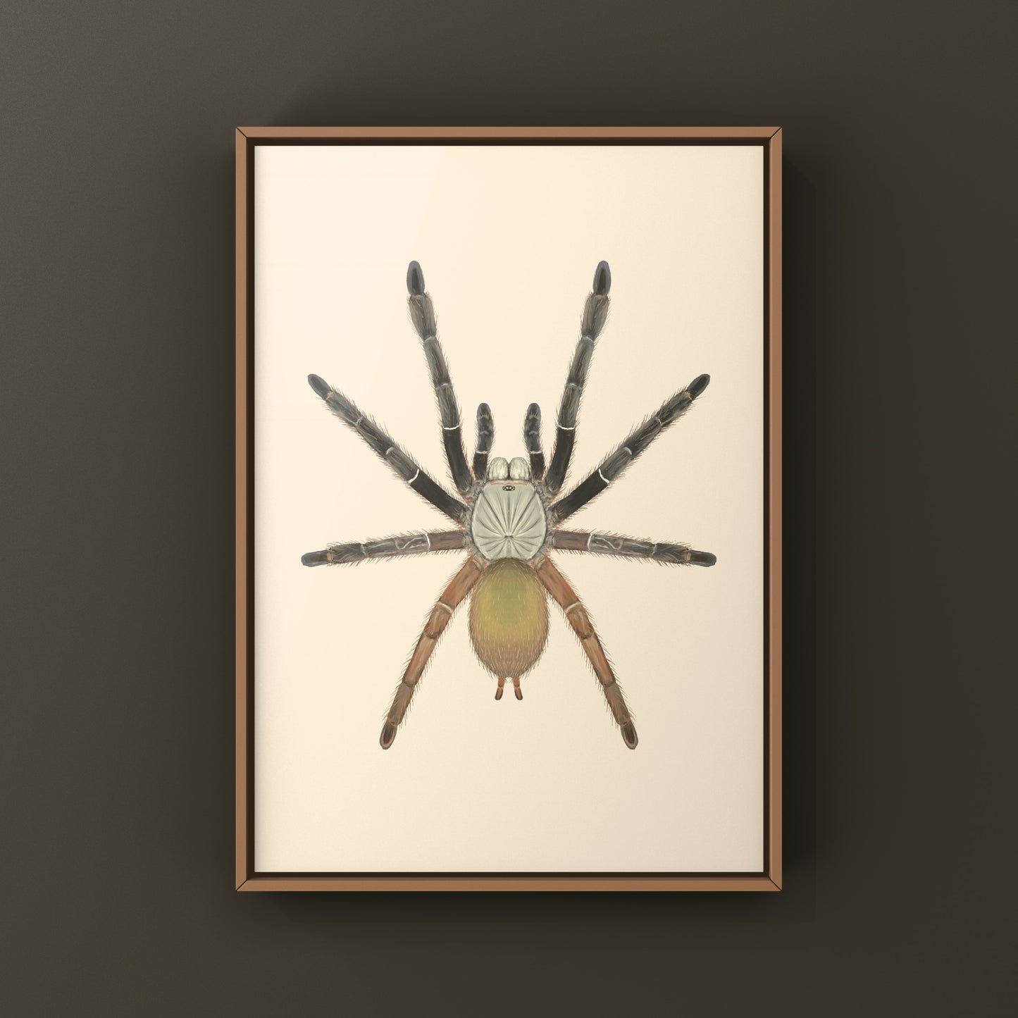 Emerald Skeleton Tarantula, Ephebopus Uatuman, Photographic Art Print from The Silk Ranch