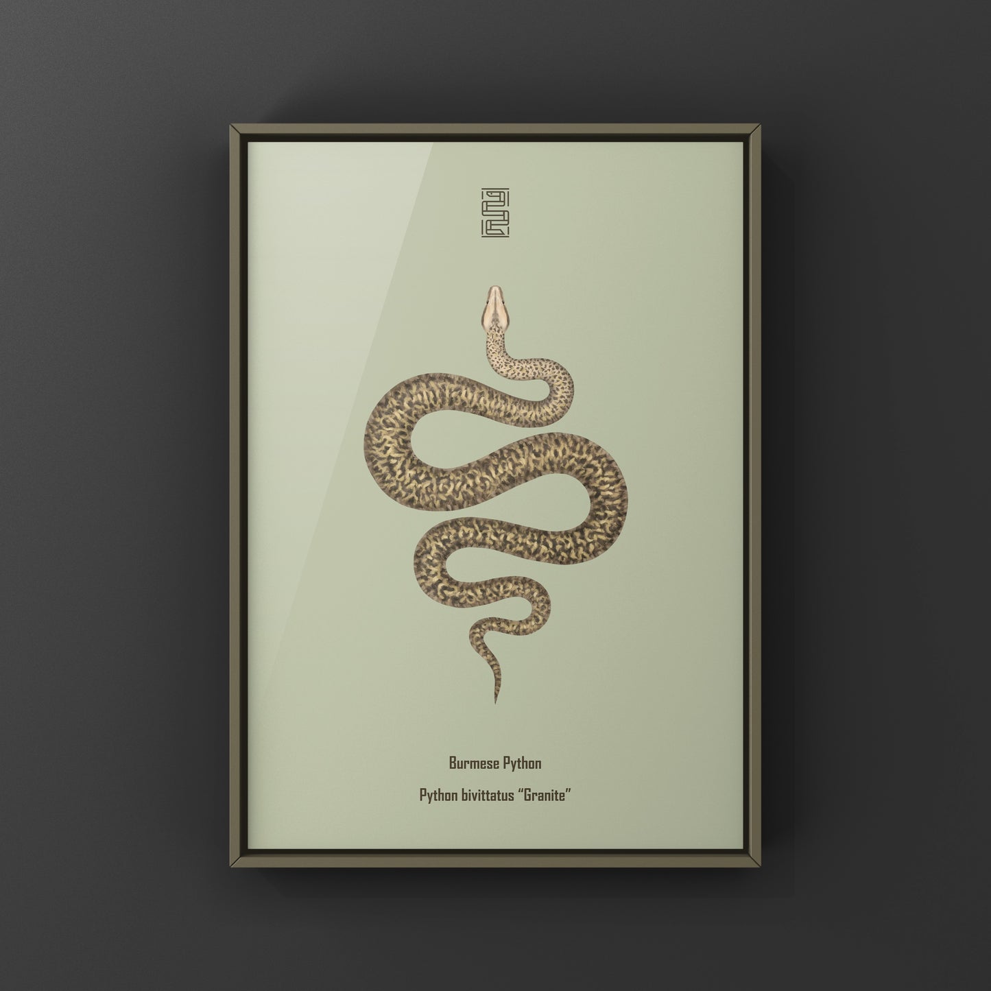 Granite Burmese Python Art Print (Python bivittatus)