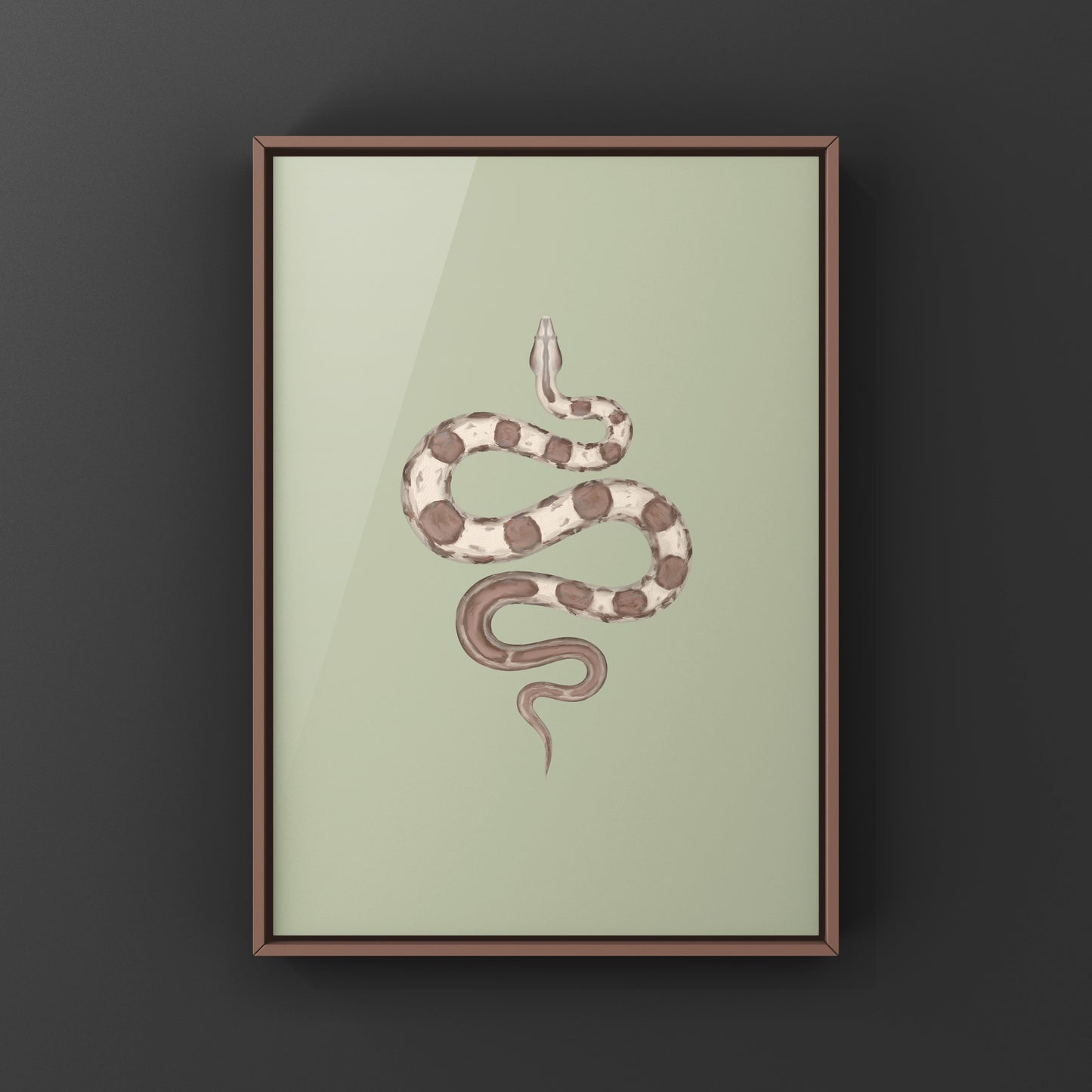 VPI Motley Central American Boa Art Print (Boa imperator)