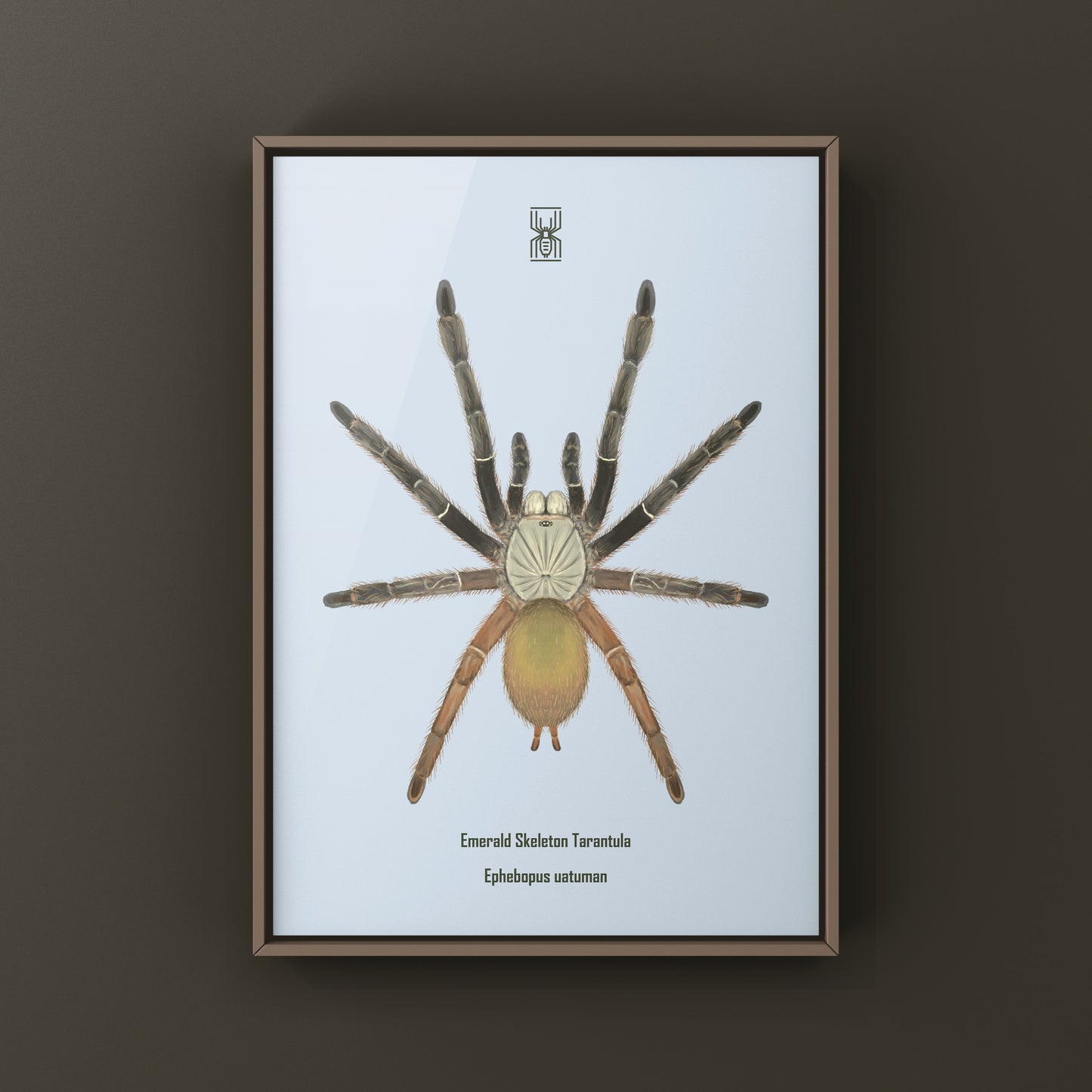 Emerald Skeleton Tarantula, Ephebopus Uatuman, Photographic Art Print from The Silk Ranch