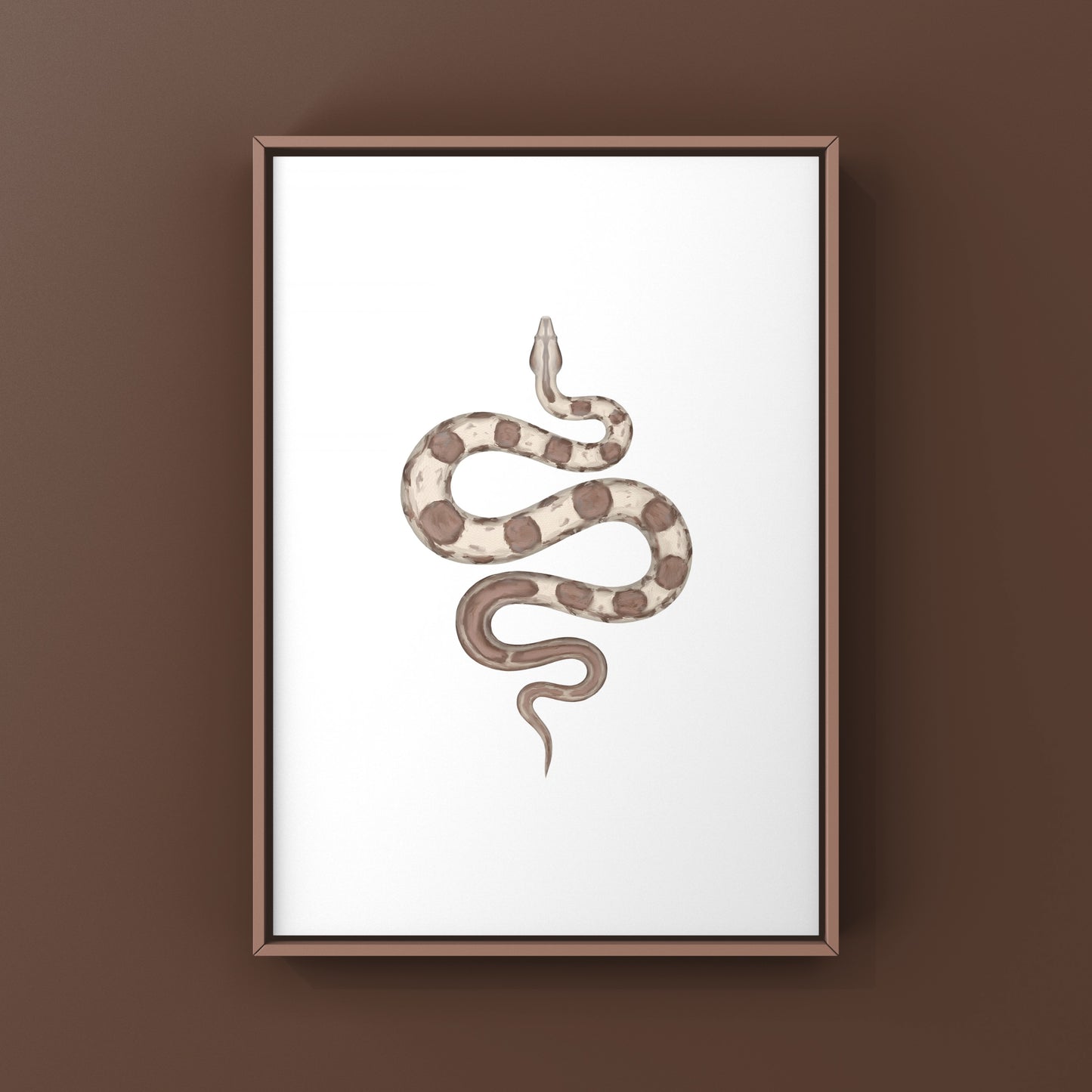 VPI Motley Central American Boa Art Print (Boa imperator)