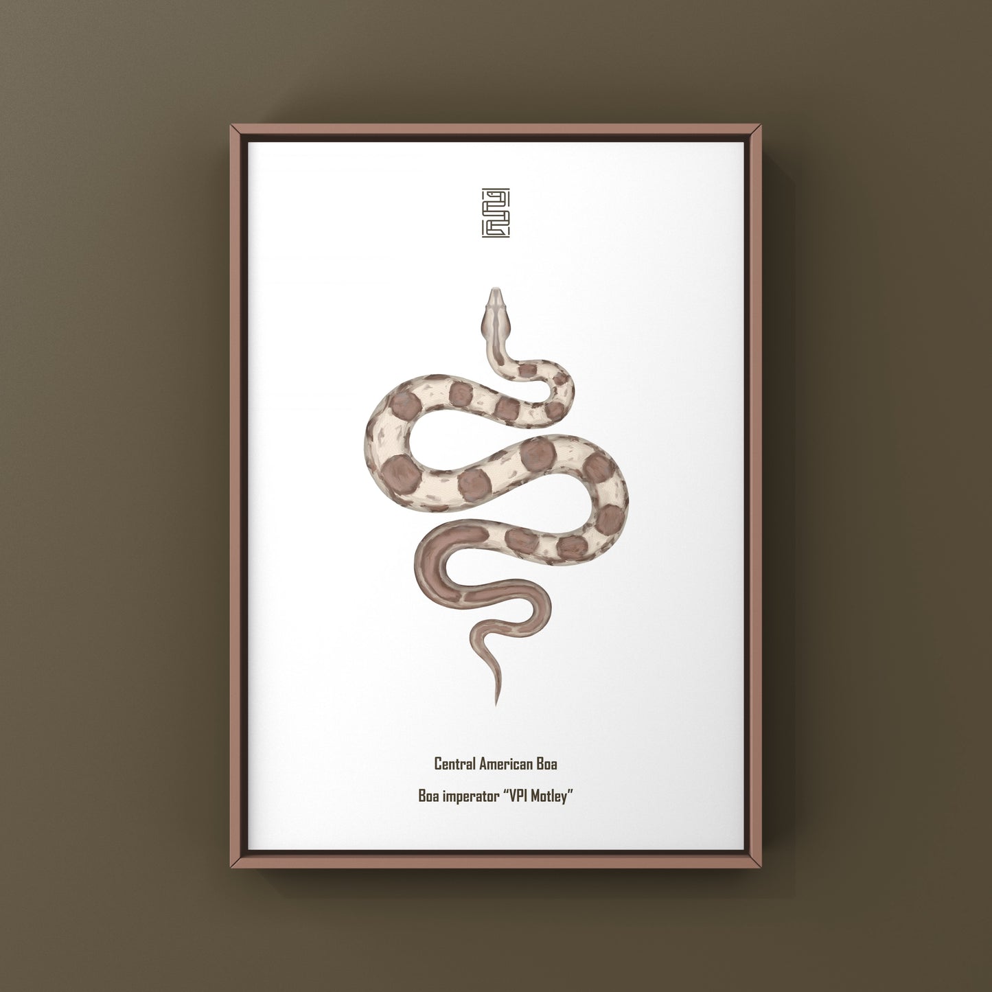 VPI Motley Central American Boa Art Print (Boa imperator)