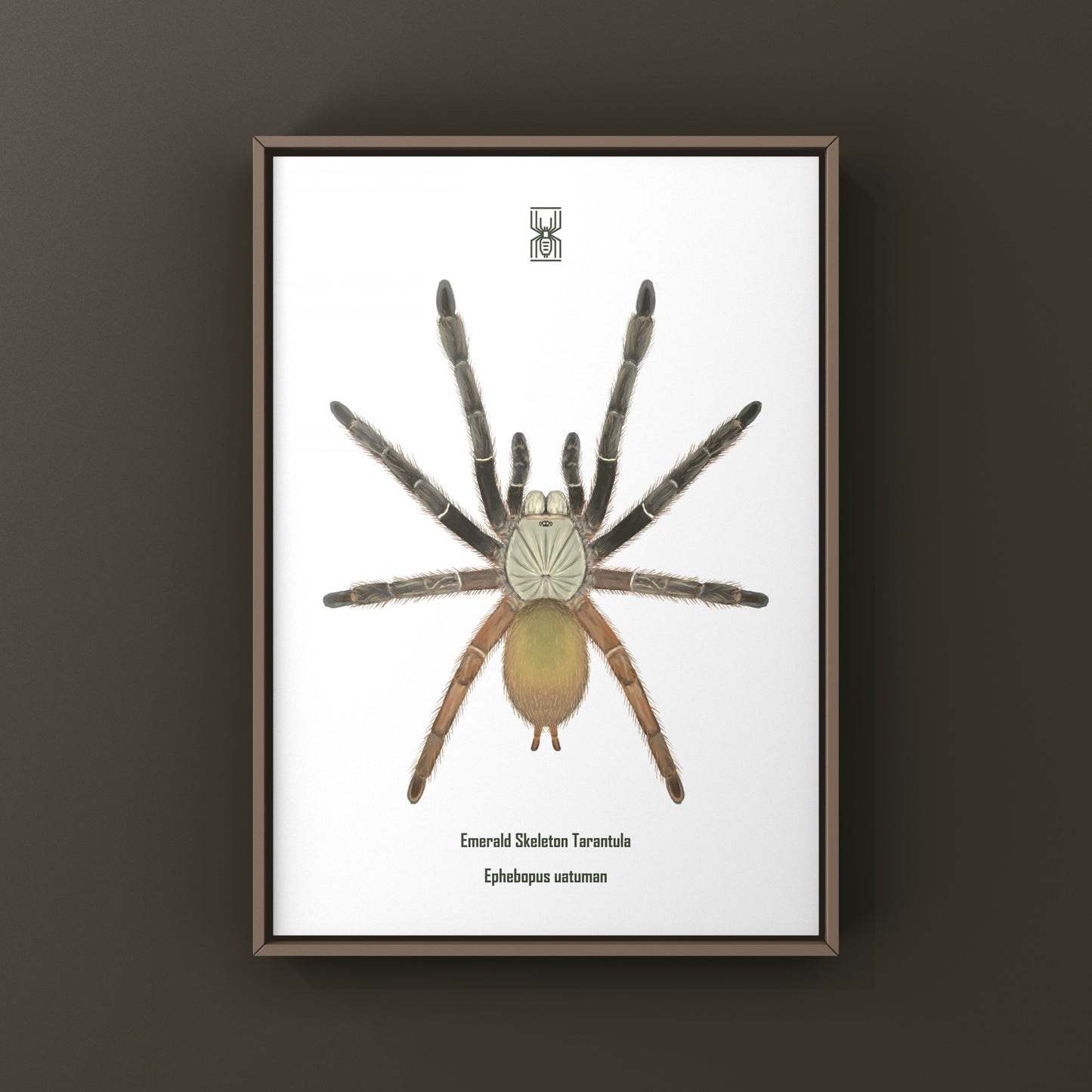 Emerald Skeleton Tarantula, Ephebopus Uatuman, Photographic Art Print from The Silk Ranch