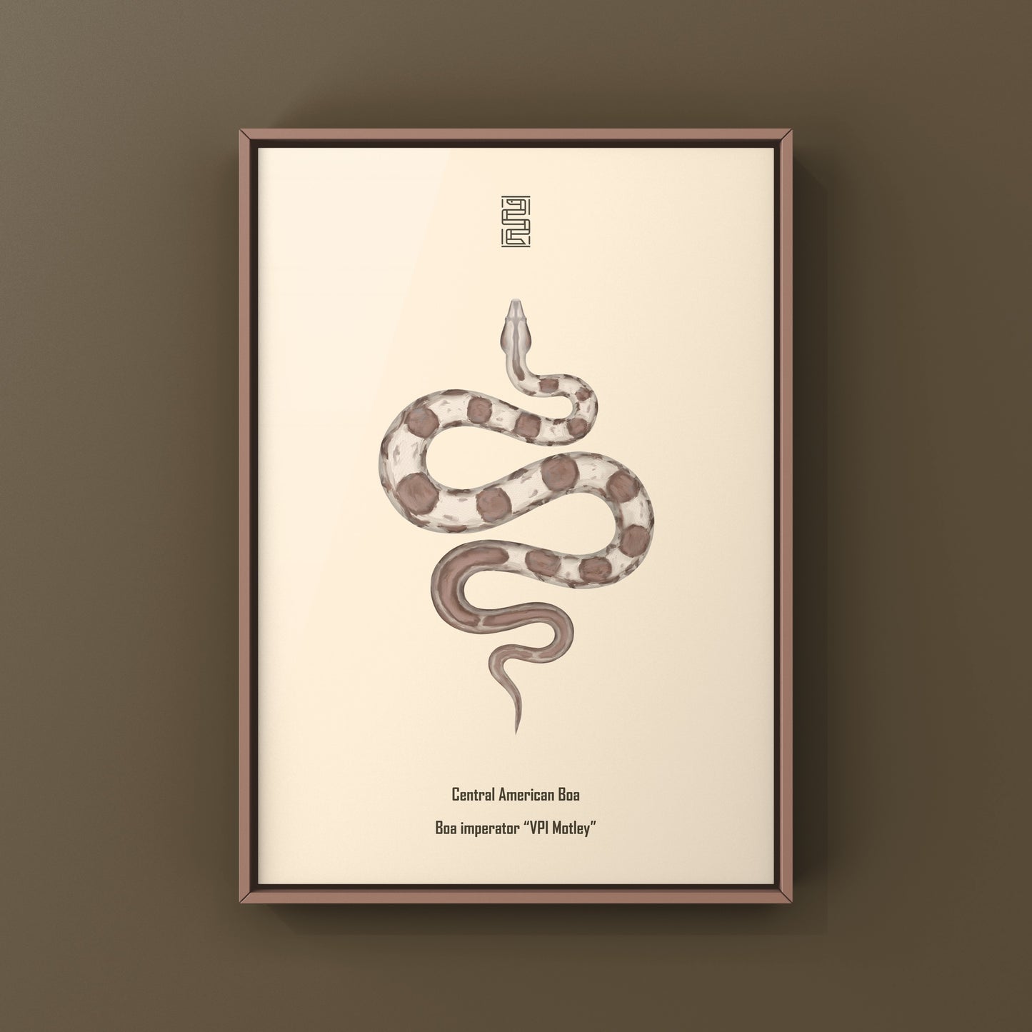 VPI Motley Central American Boa Art Print (Boa imperator)