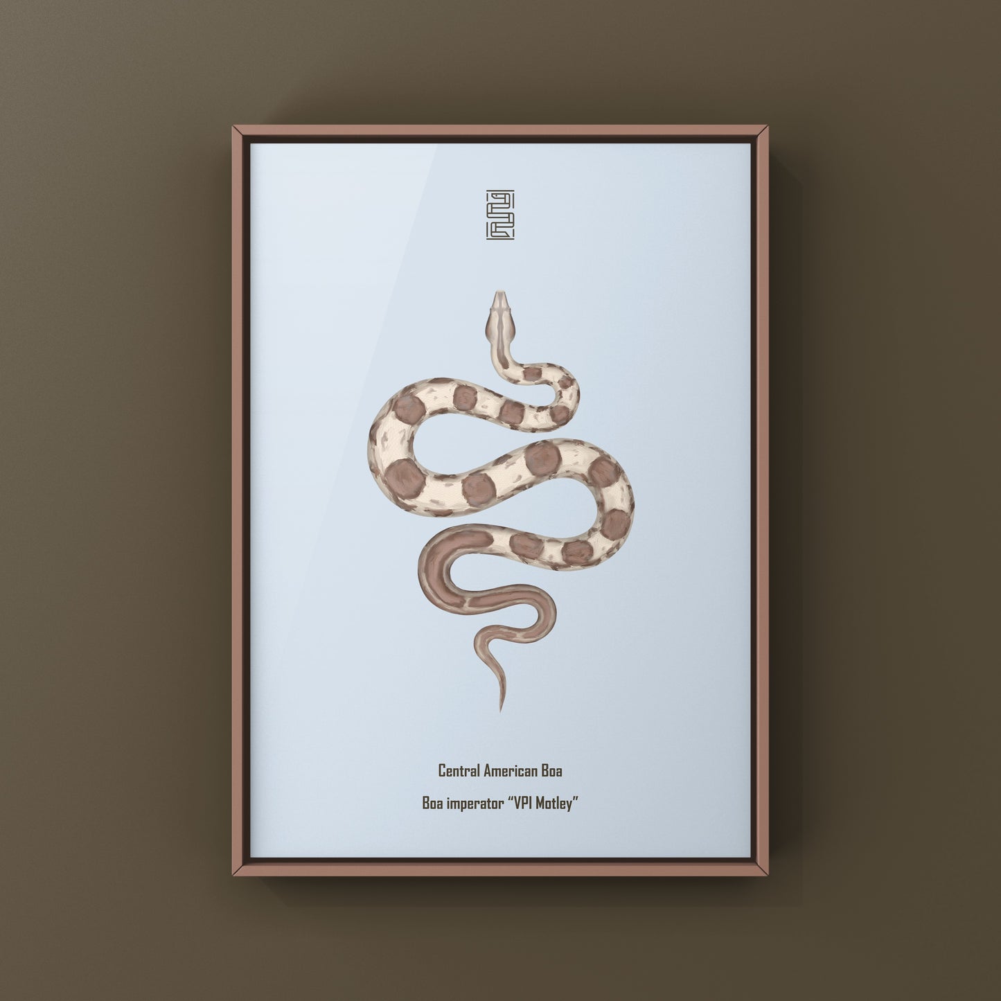 VPI Motley Central American Boa Art Print (Boa imperator)