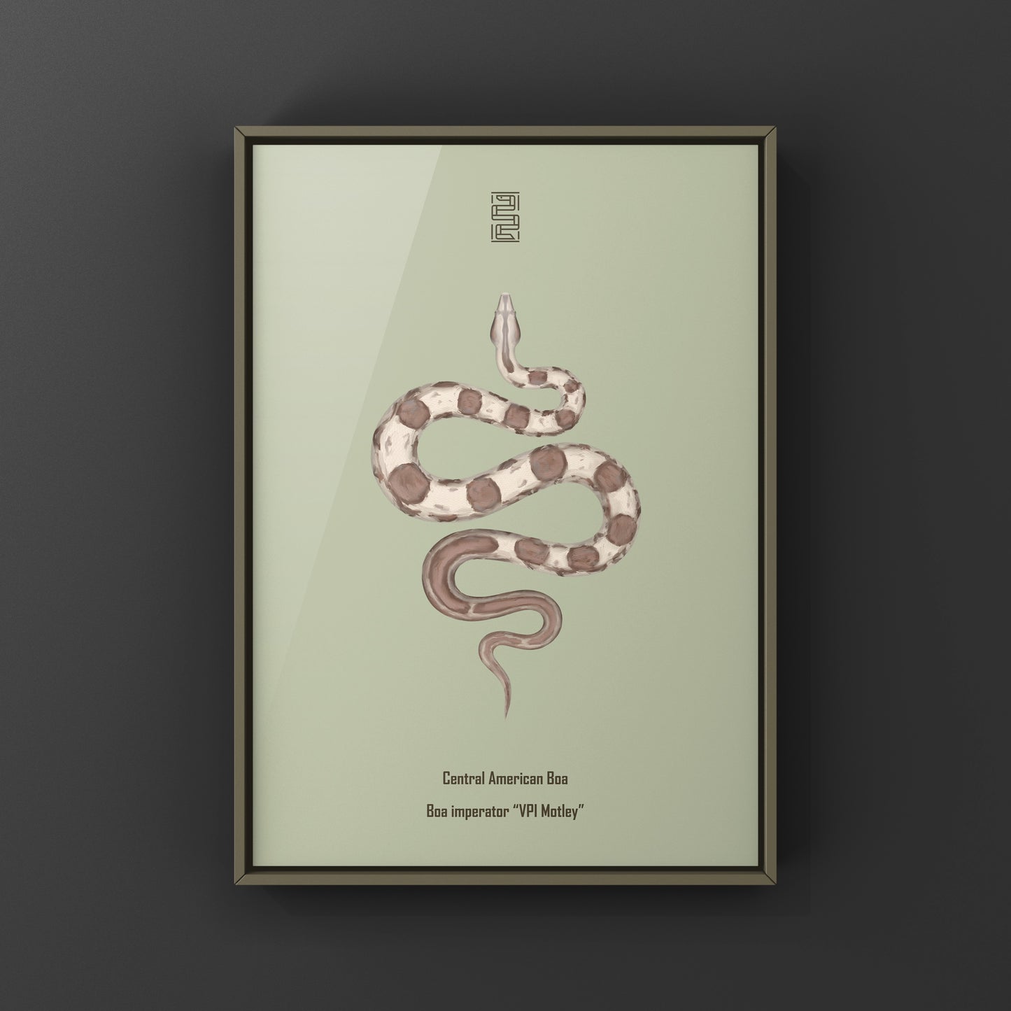 VPI Motley Central American Boa Art Print (Boa imperator)