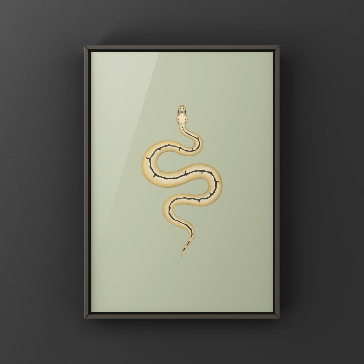 Bumblebee Clown Ball Python Art Print (Python regius)