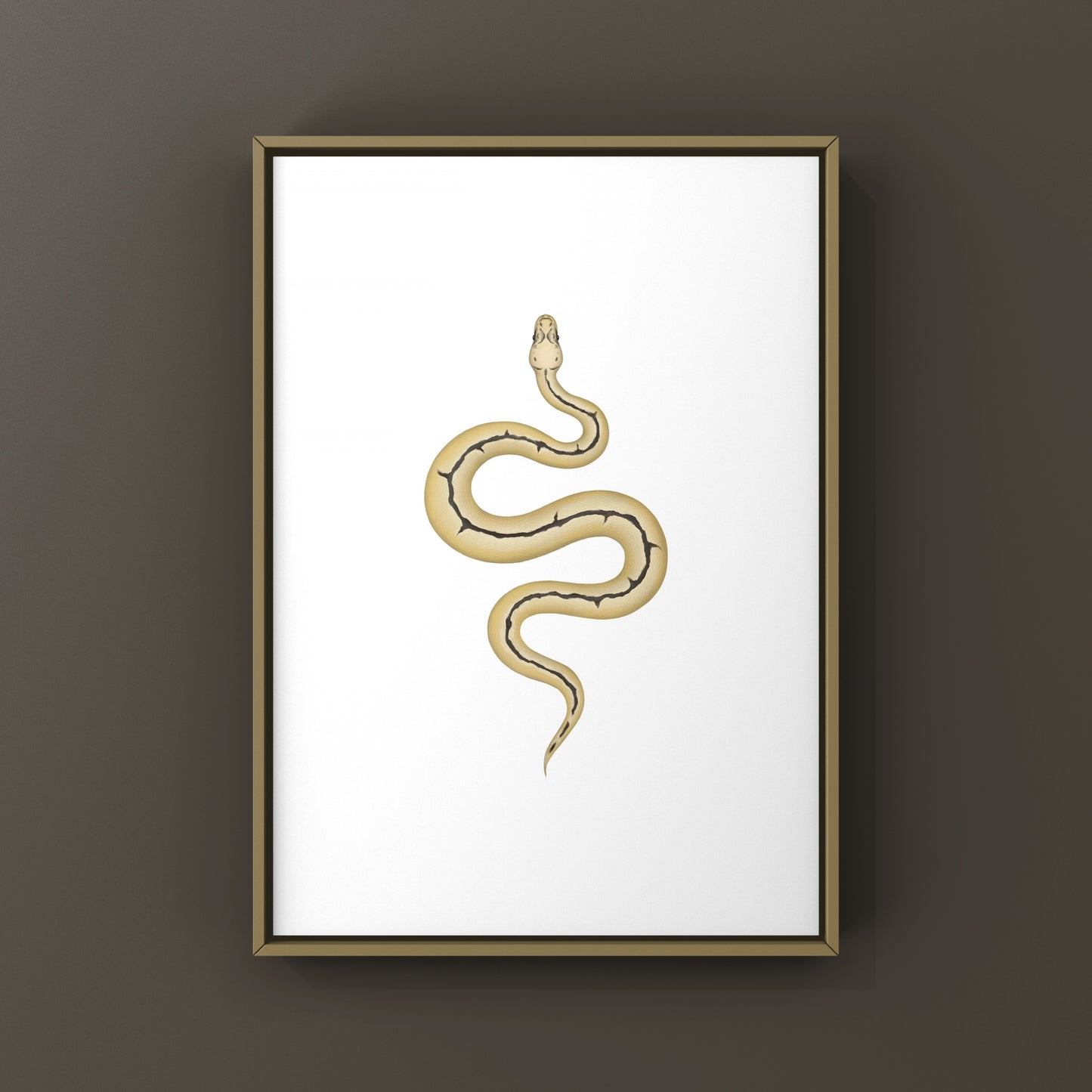 Bumblebee Clown Ball Python Art Print (Python regius)
