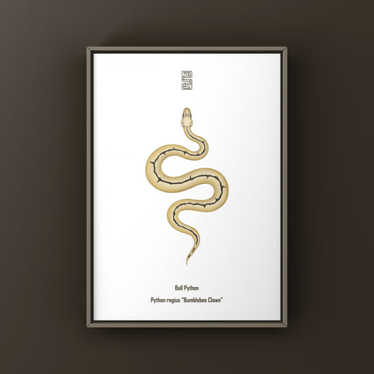 Bumblebee Clown Ball Python Art Print (Python regius)