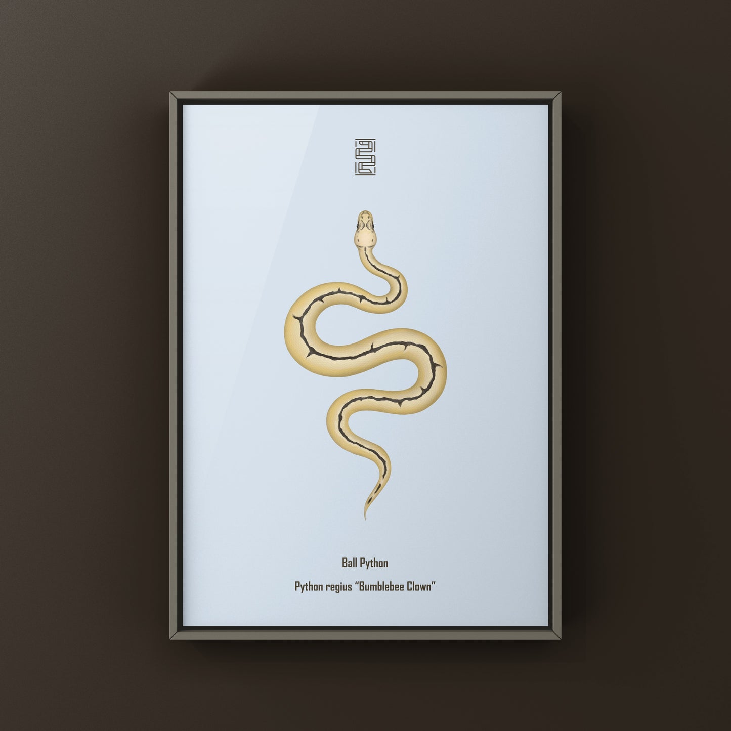 Bumblebee Clown Ball Python Art Print (Python regius)