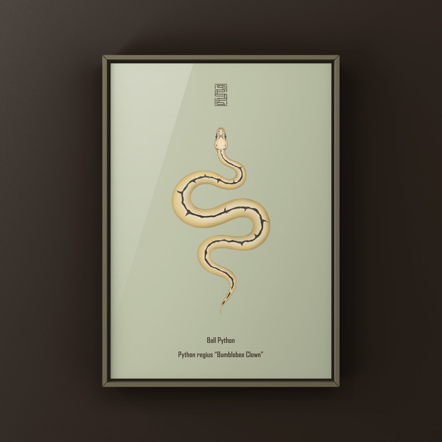 Bumblebee Clown Ball Python Art Print (Python regius)