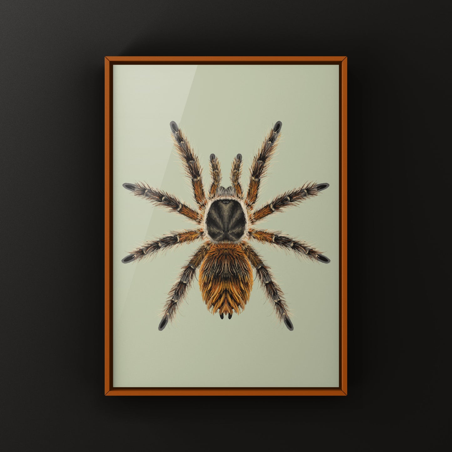 Chilean Ocelot Tarantula Art Print (Phrixotrichus vulpinus)