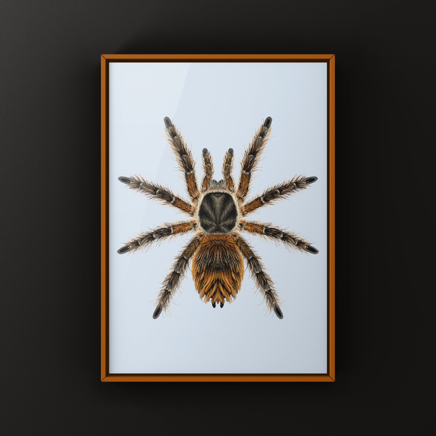 Chilean Ocelot Tarantula Art Print (Phrixotrichus vulpinus)