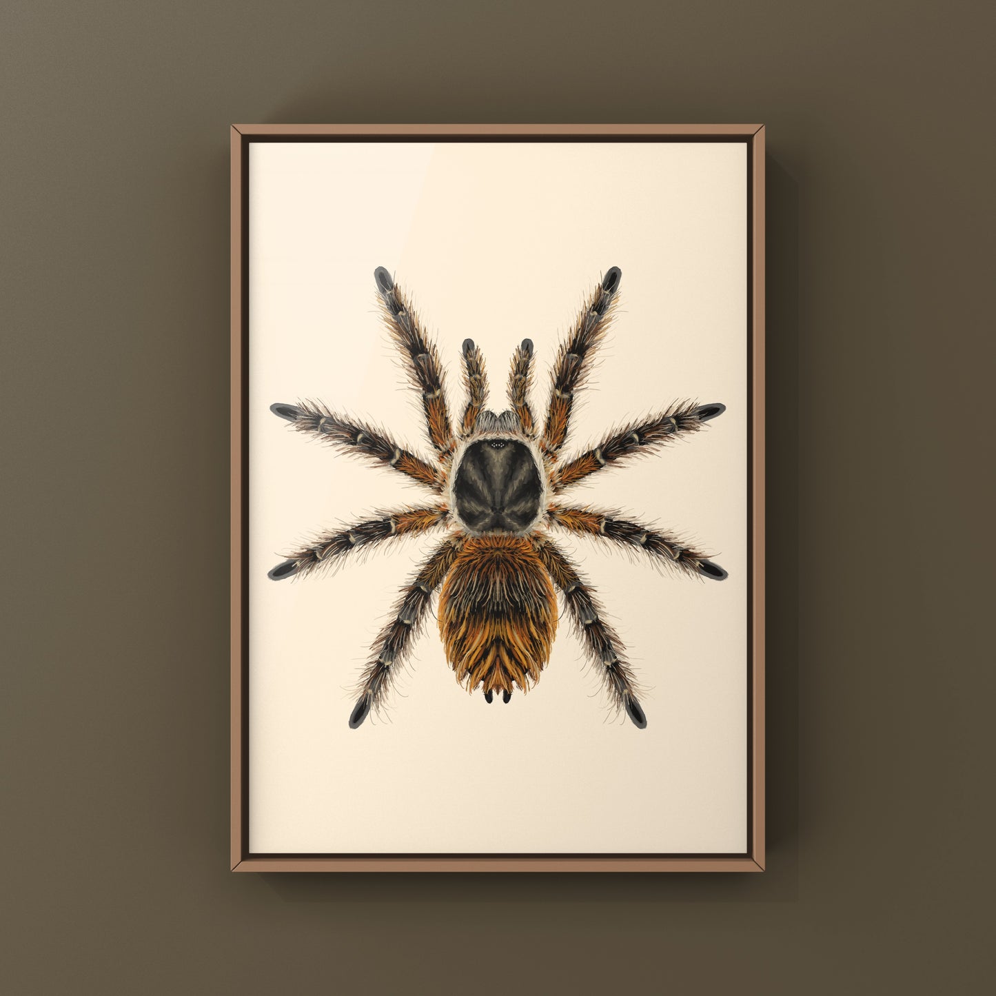 Chilean Ocelot Tarantula Art Print (Phrixotrichus vulpinus)